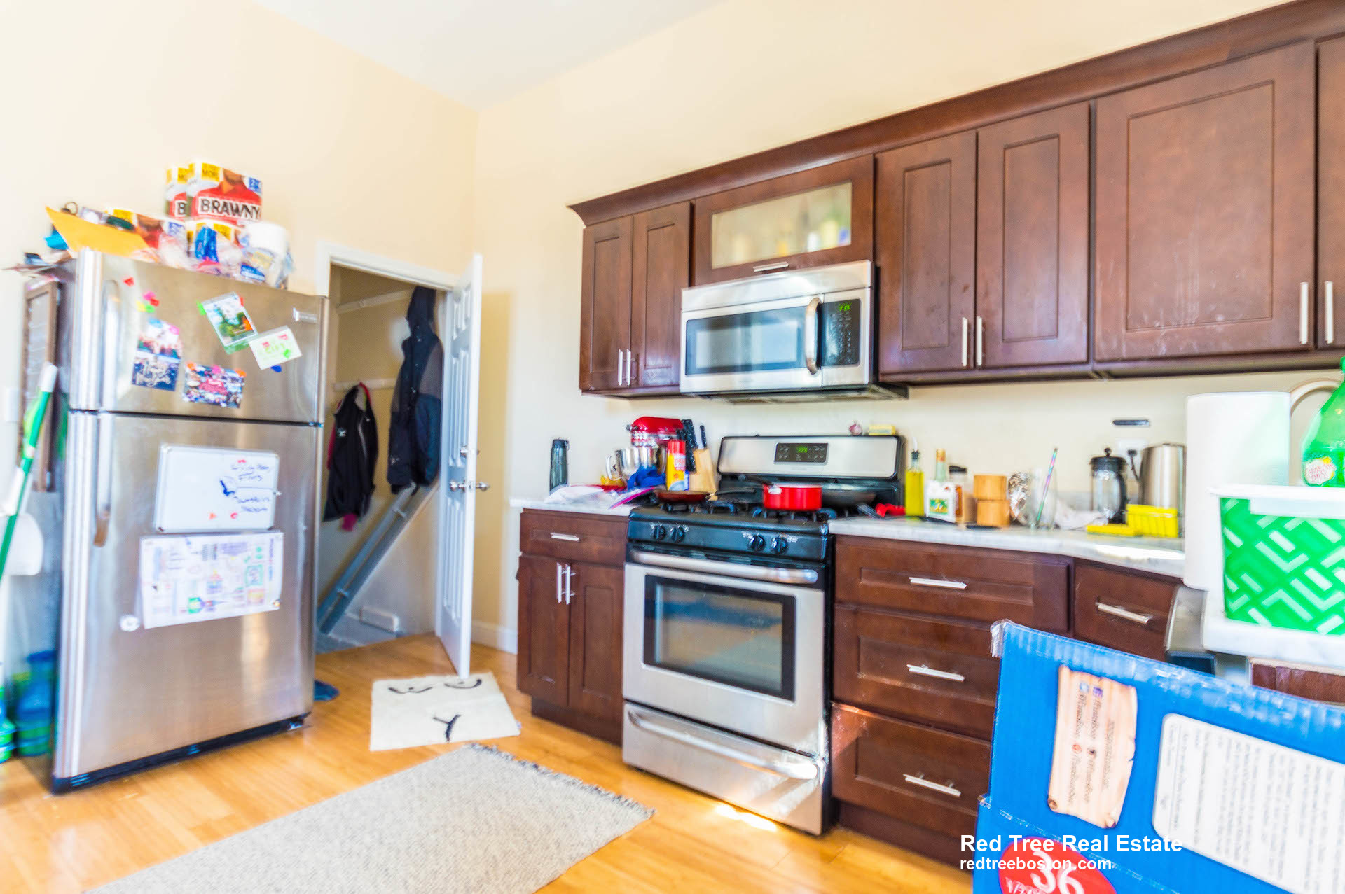 18 Cobden St, Jamaica Plain