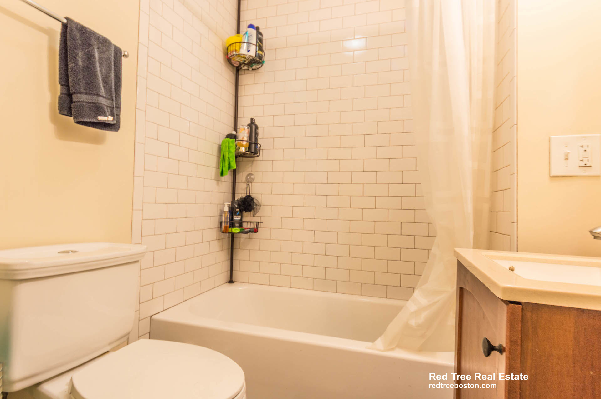 18 Cobden St, Jamaica Plain