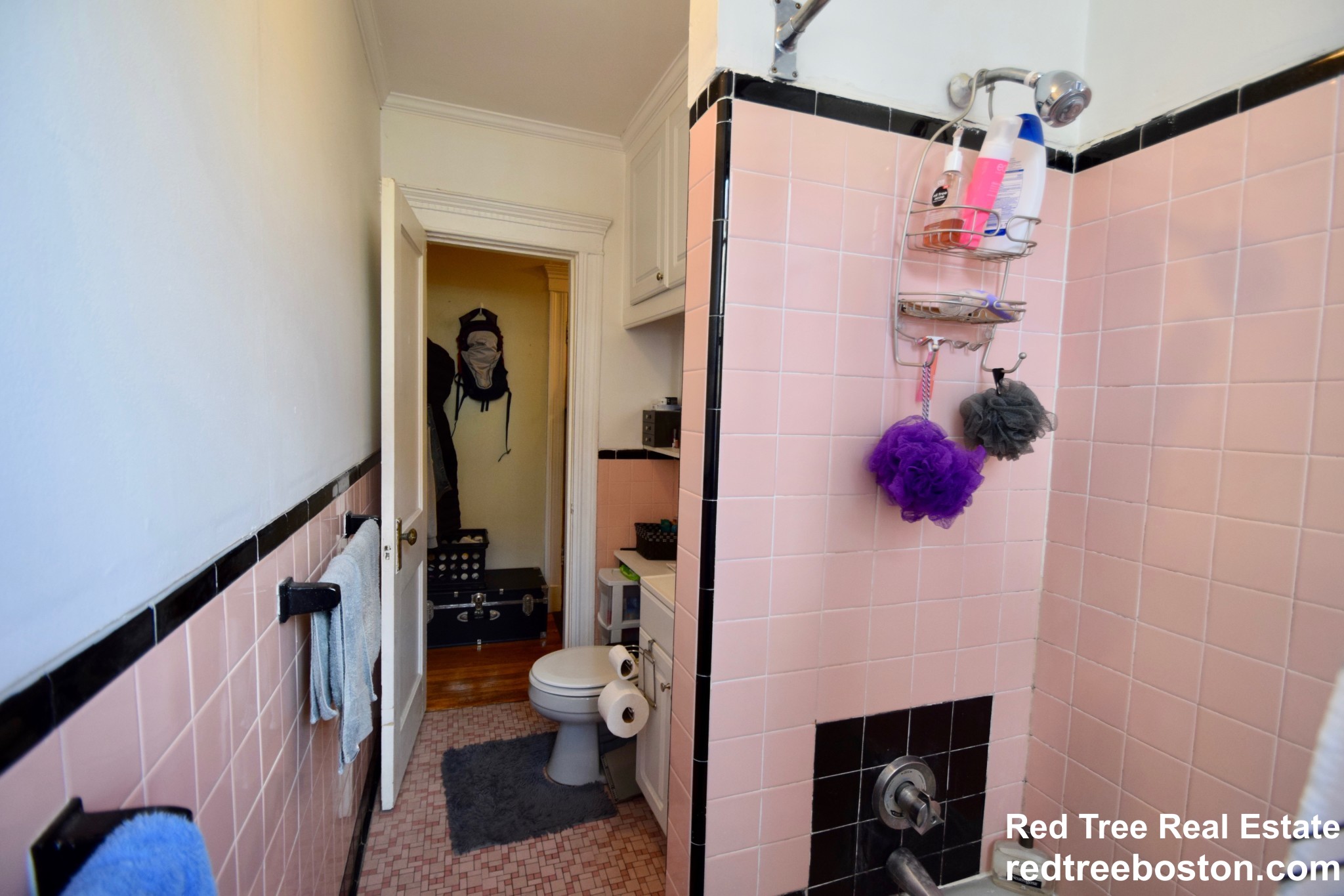 5 Braemore Rd, Brighton