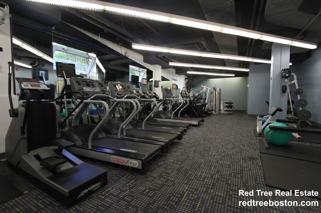 175 Freeman St, North Brookline