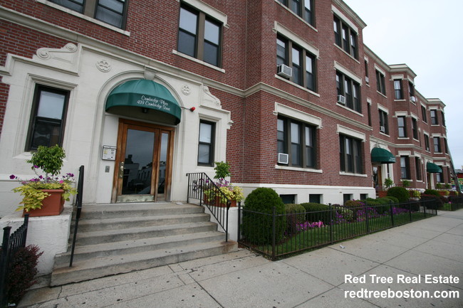 6 Barrows St, Allston