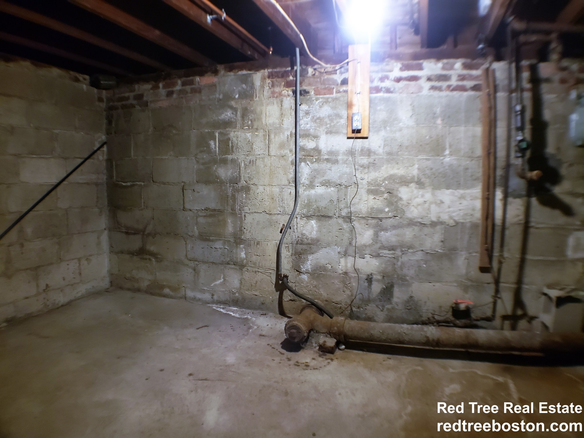 42 Claymoss Rd, Brighton