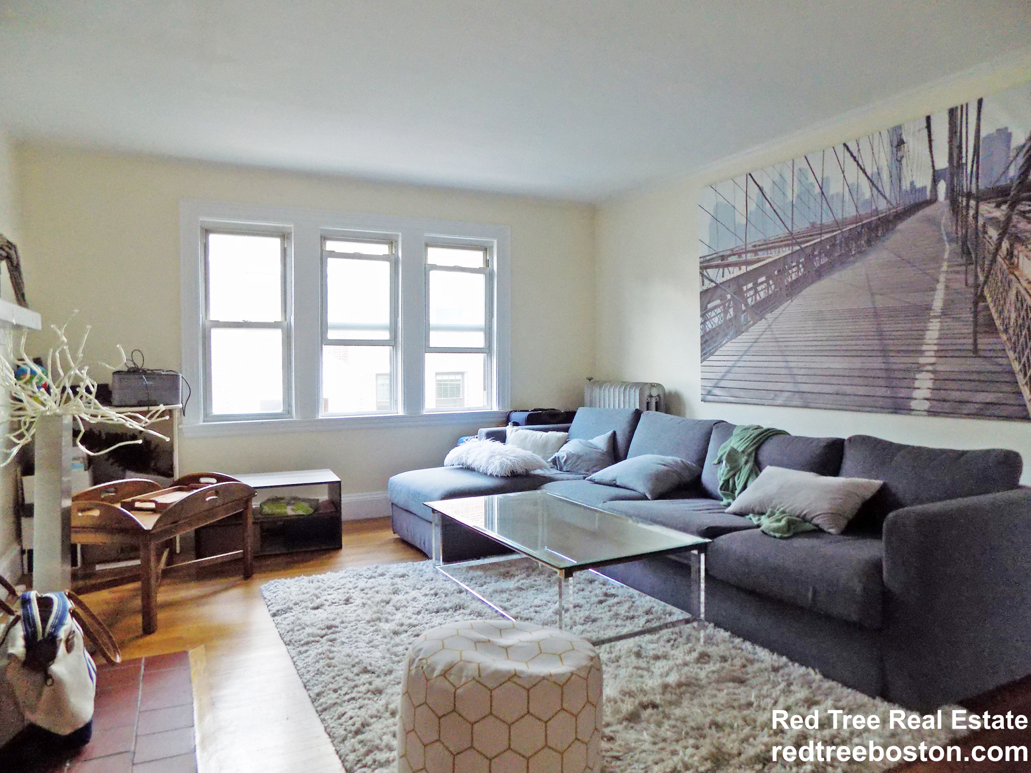 115 Lanark Rd, Brighton