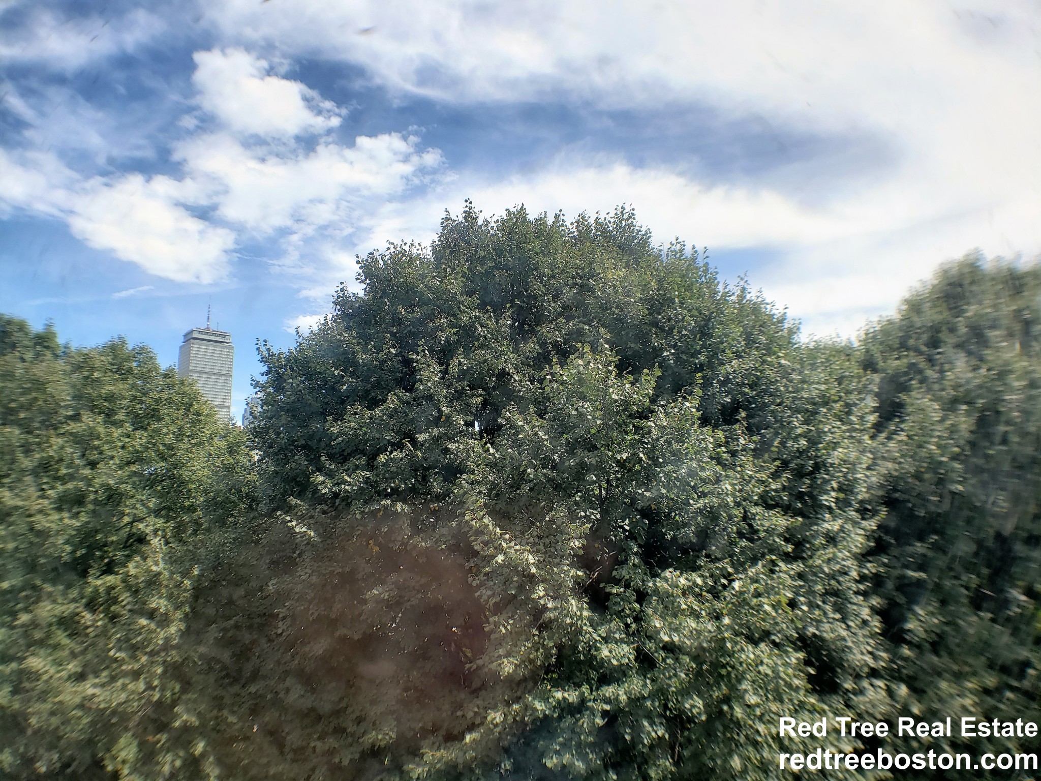 1163 Boylston St, Fenway