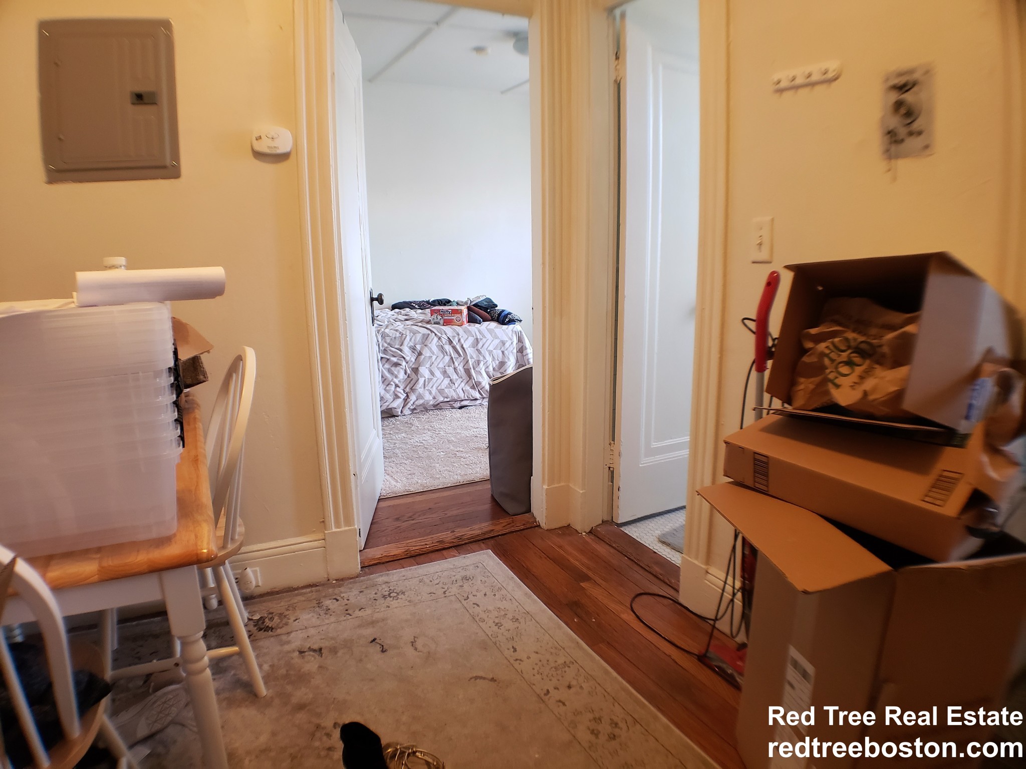 1185 Boylston St, Fenway