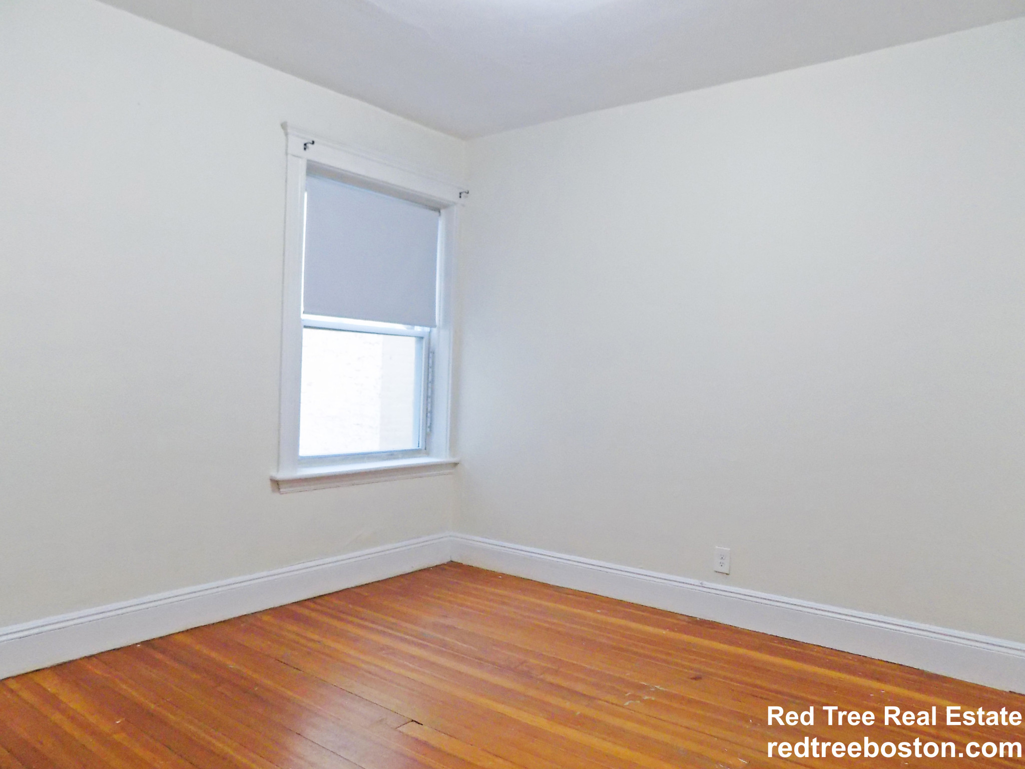 11 Mount Hood Rd, Brighton