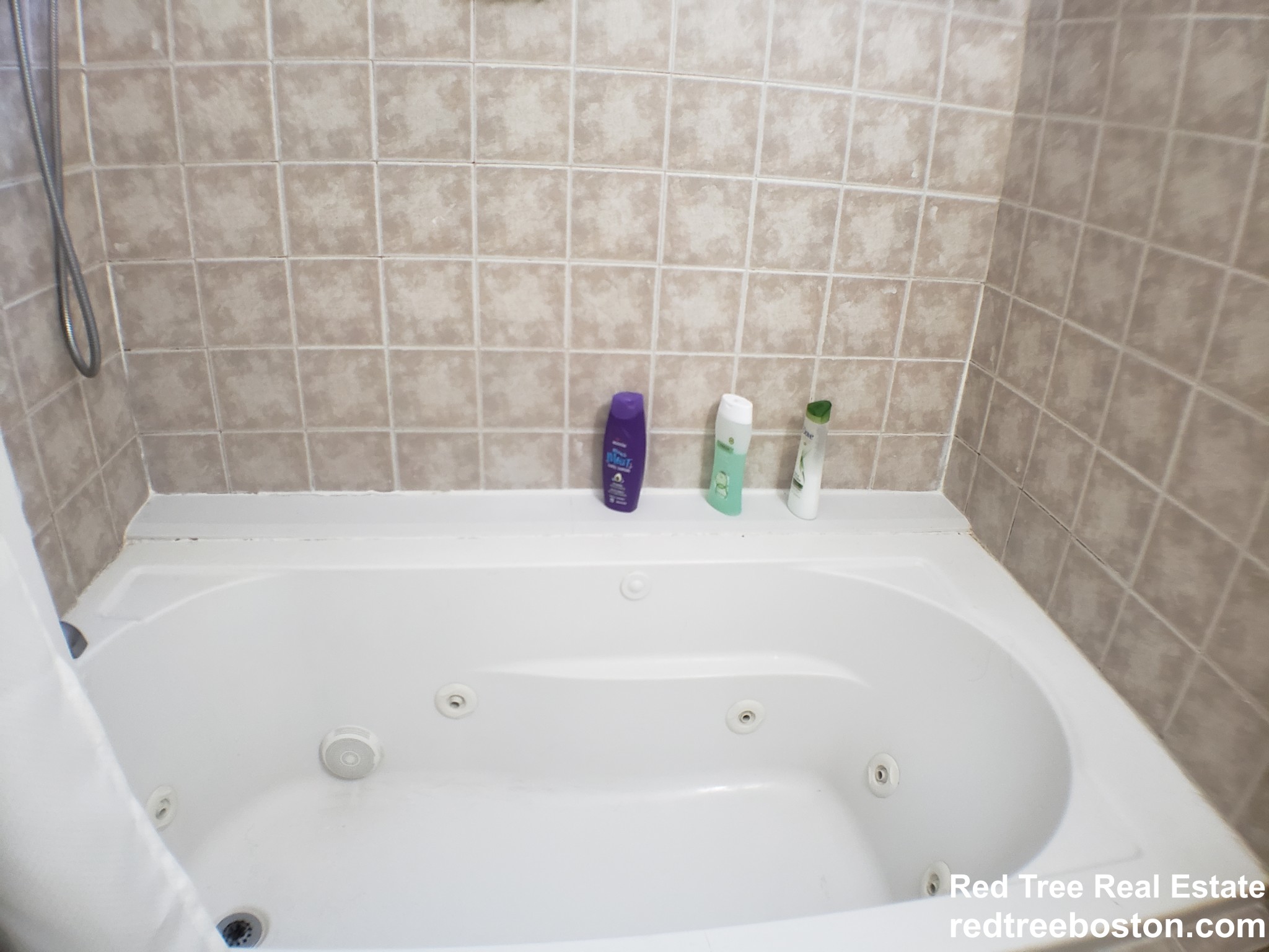 4 bed, 2 bath apartment for rent at 29 Sutherland Rd Unit A, Brighton — photo 20 of 50
