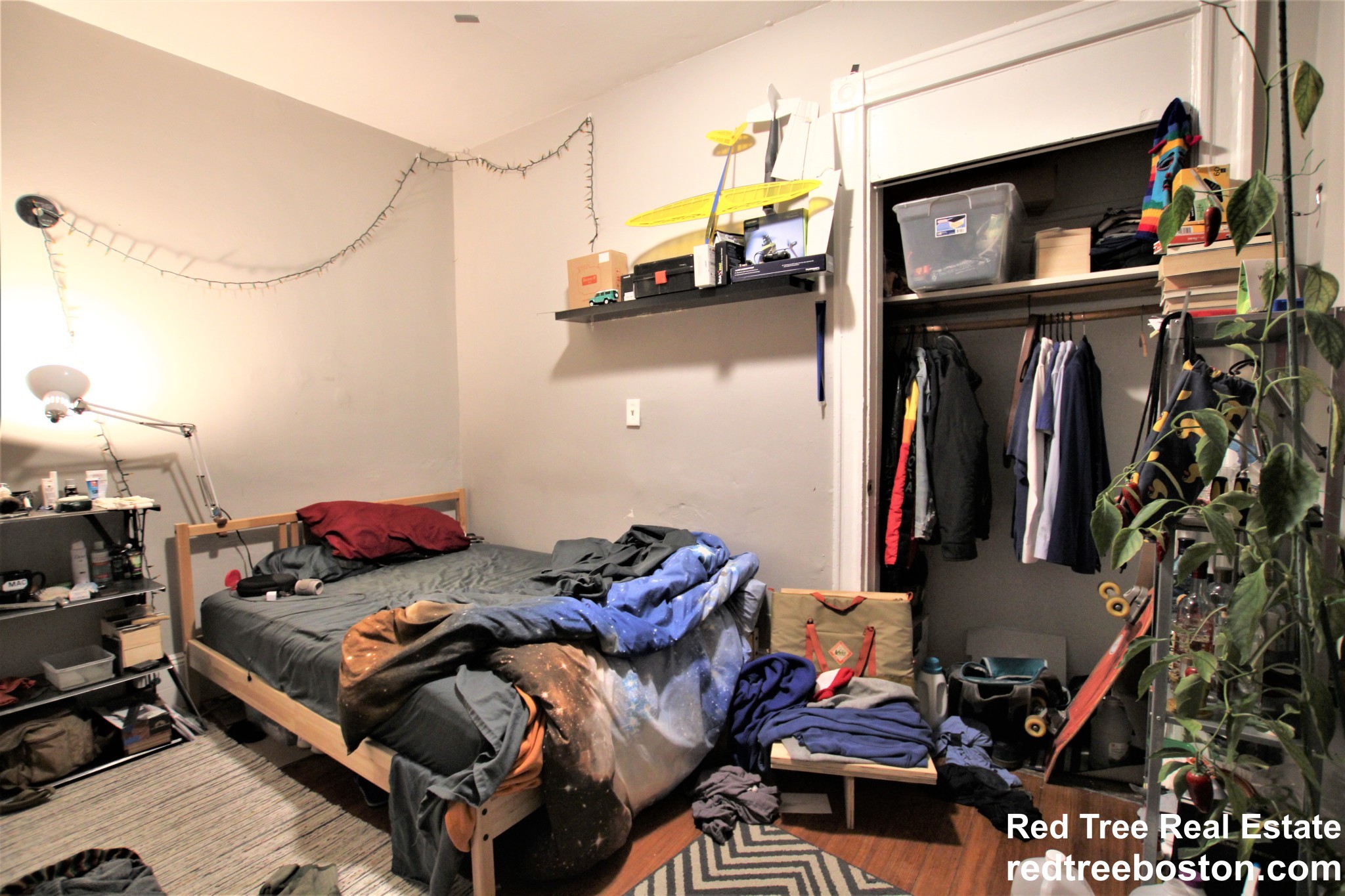 6 8 Sunset St, Mission Hill