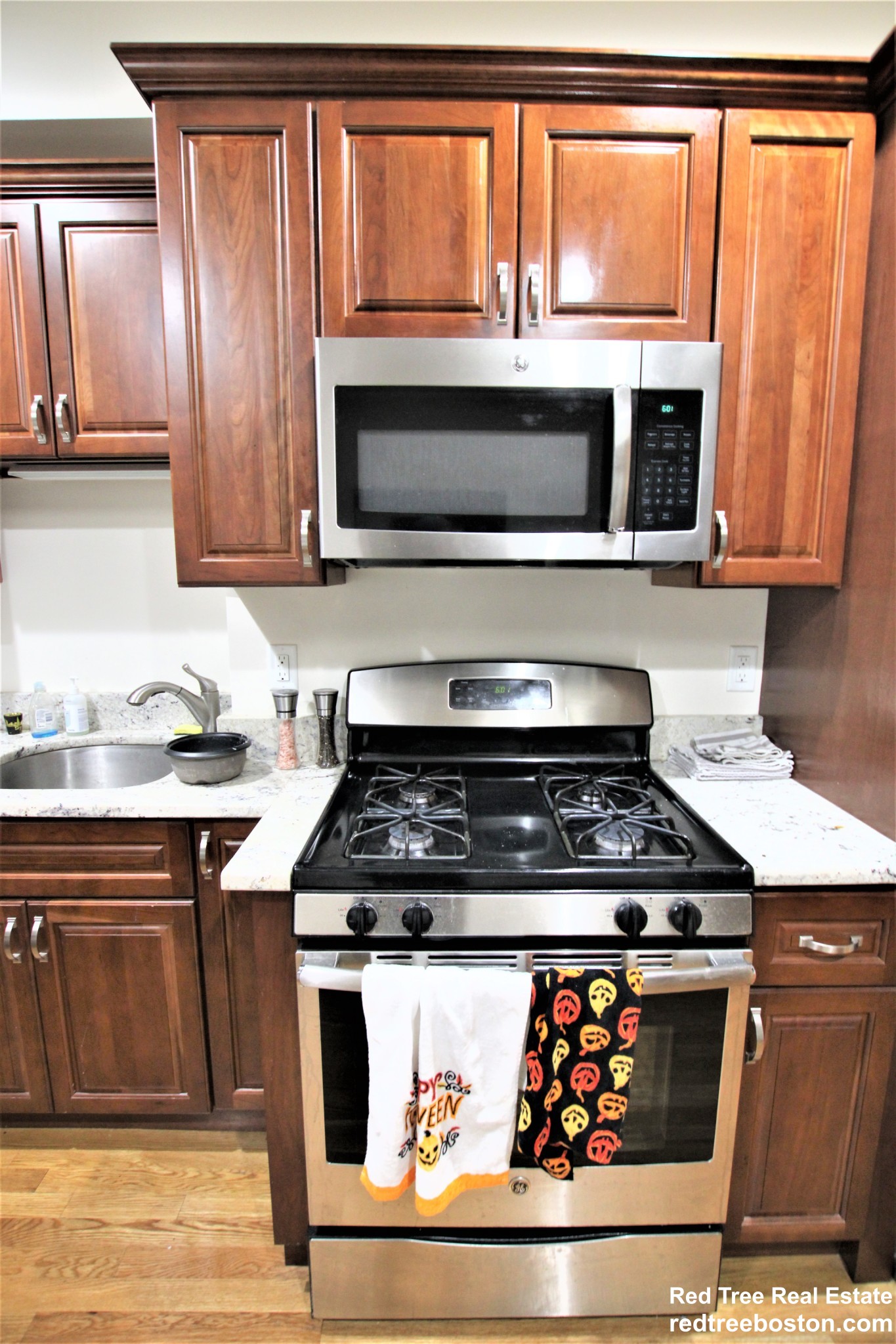 1029 Tremont St, South End