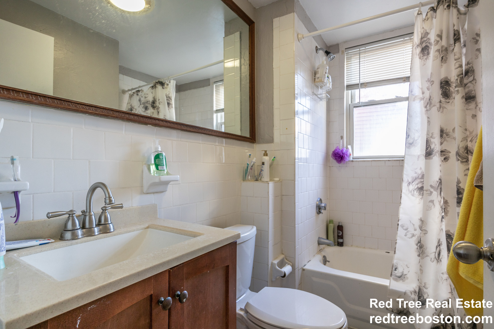 8 Sunset St, Mission Hill