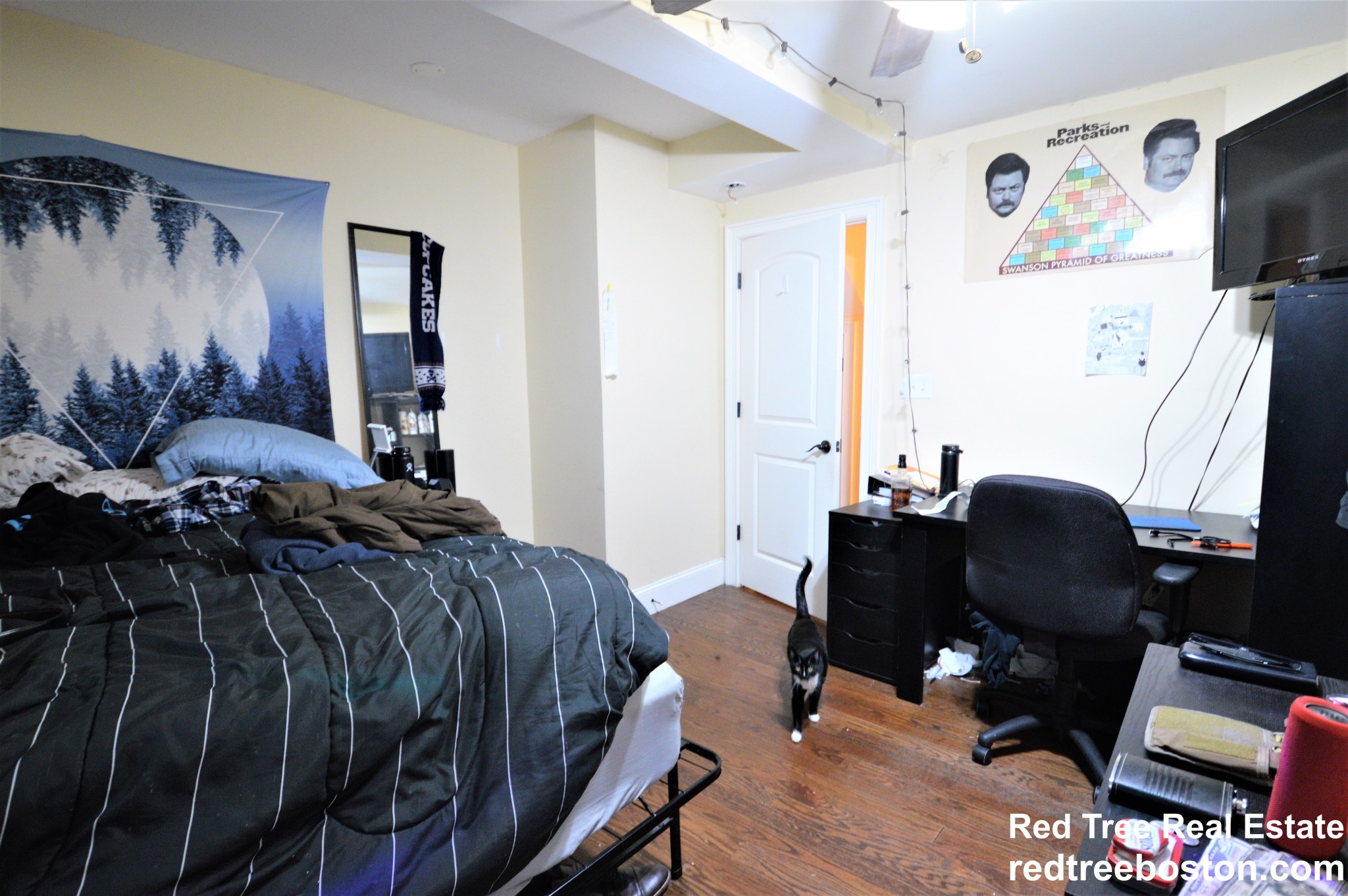 5 bed, 2 bath apartment for rent at 2 Iroquois St Unit 1, Mission Hill — photo 39 of 41