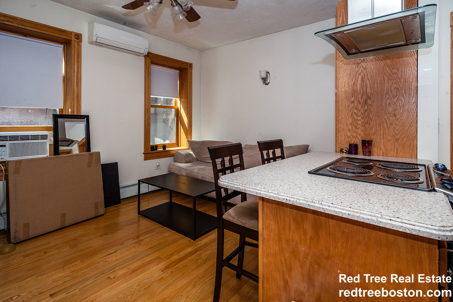 97 Myrtle St, Beacon Hill