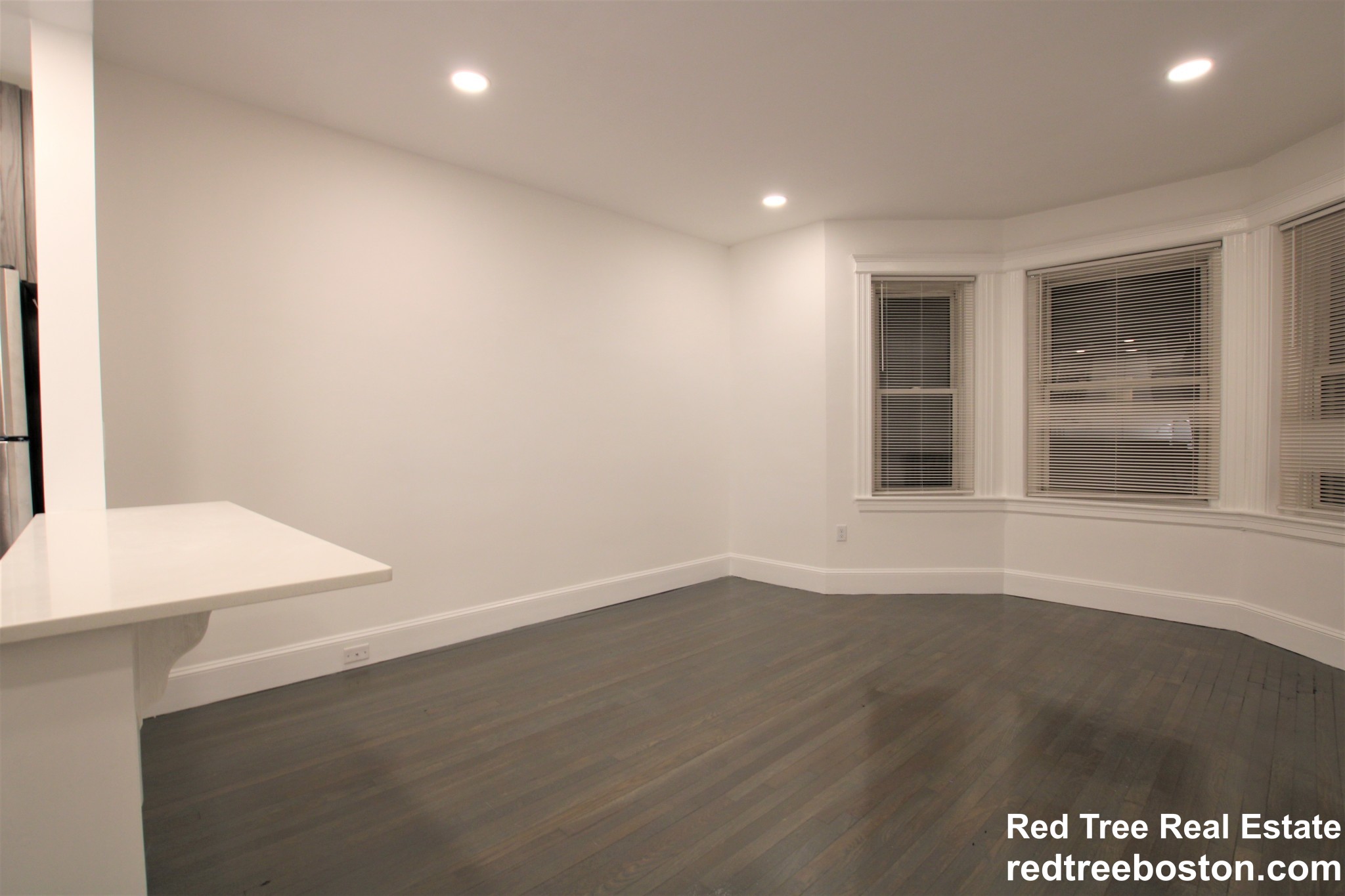 102 Queensberry St, Fenway