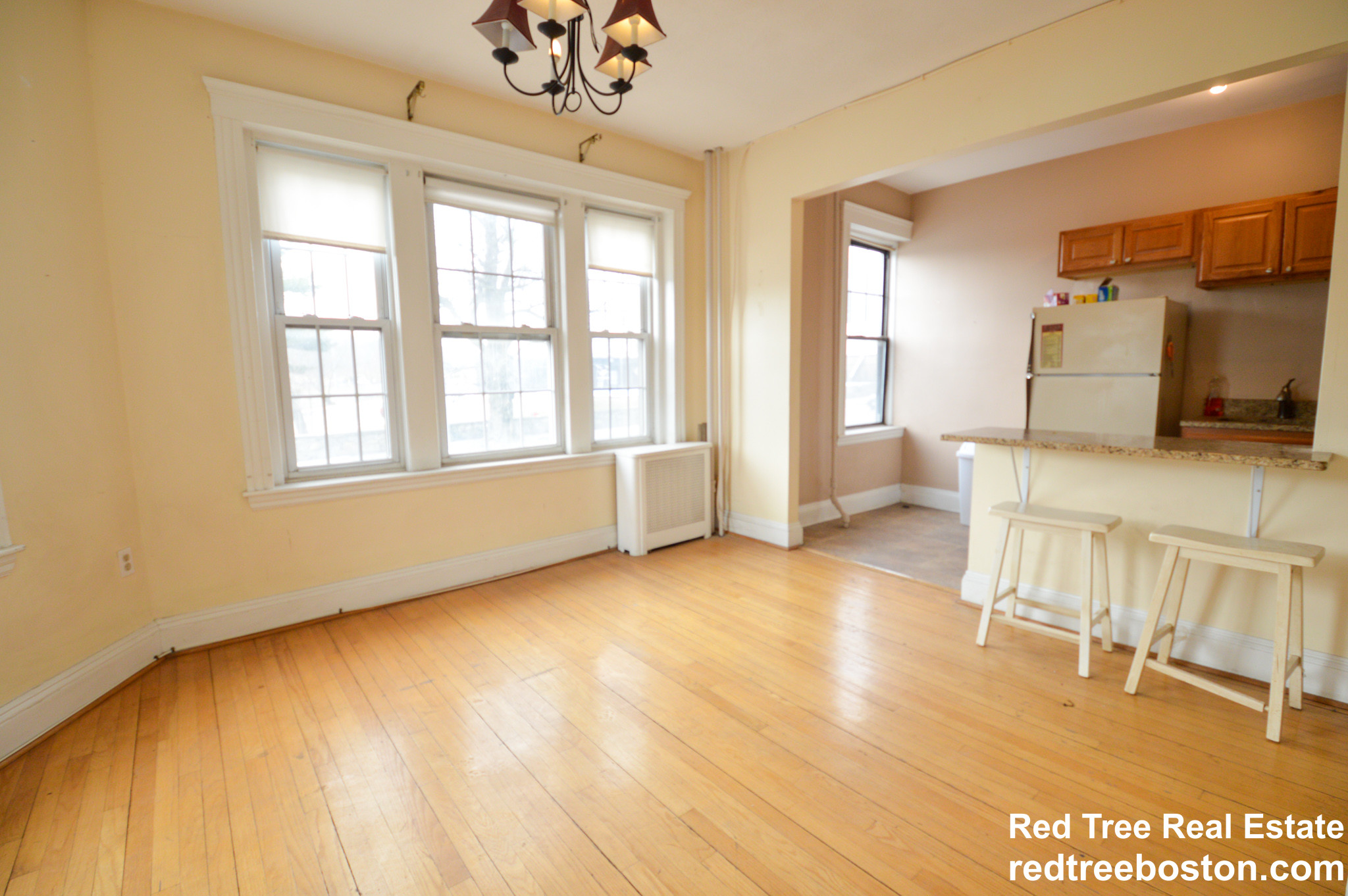 374 Chestnut Hill Ave, Brighton