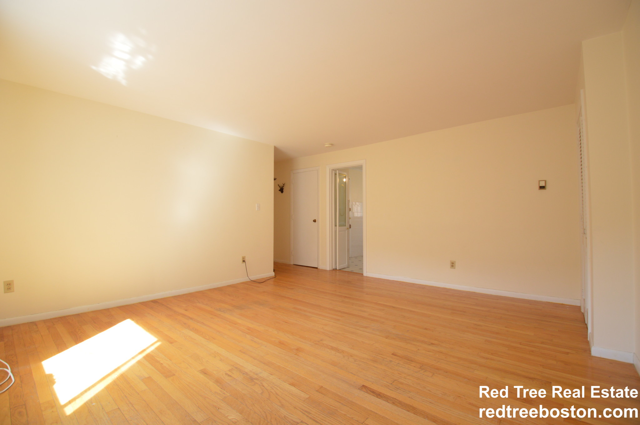 54 Bryon Rd, Chestnut Hill (Newton)