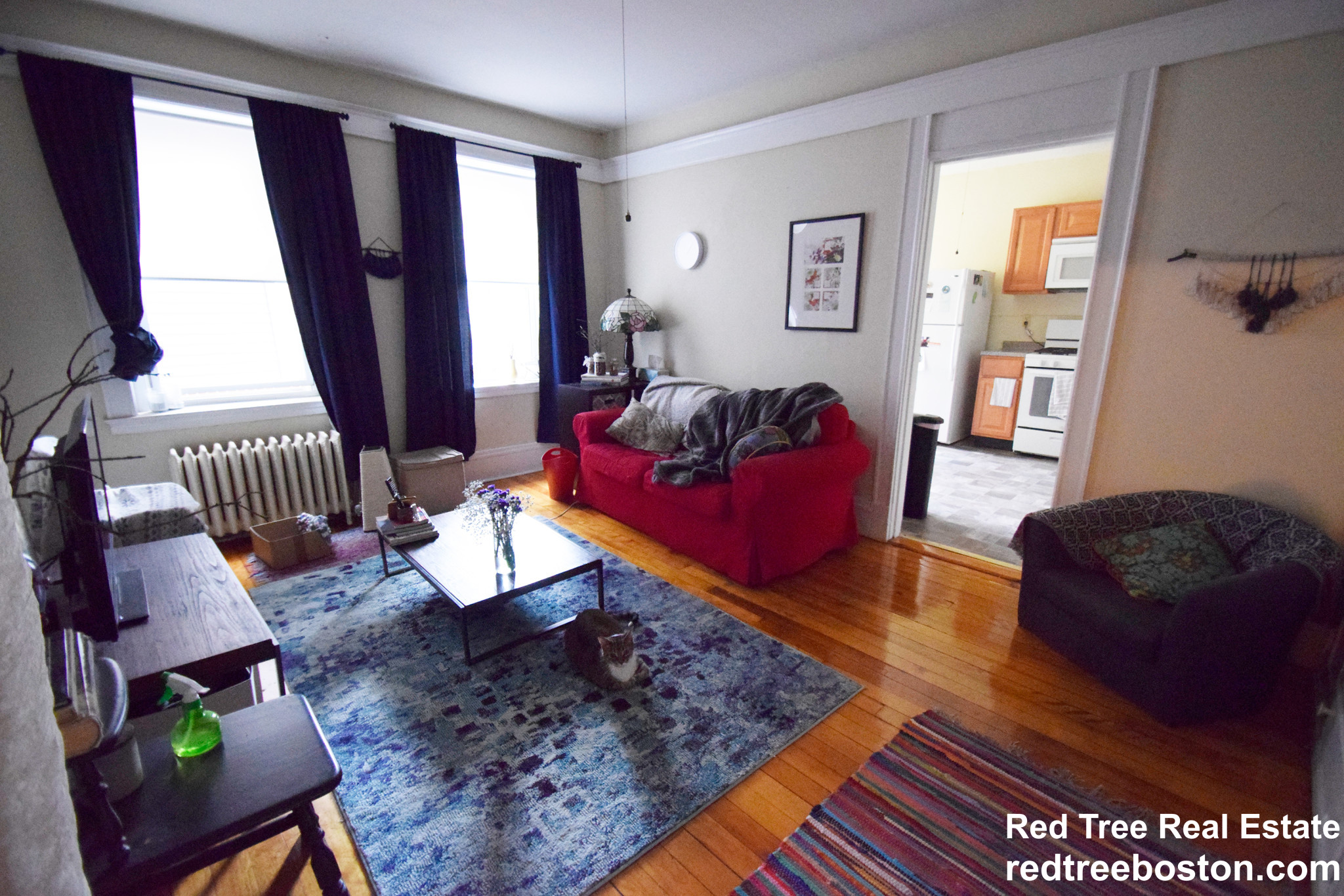 218 South St, Jamaica Plain