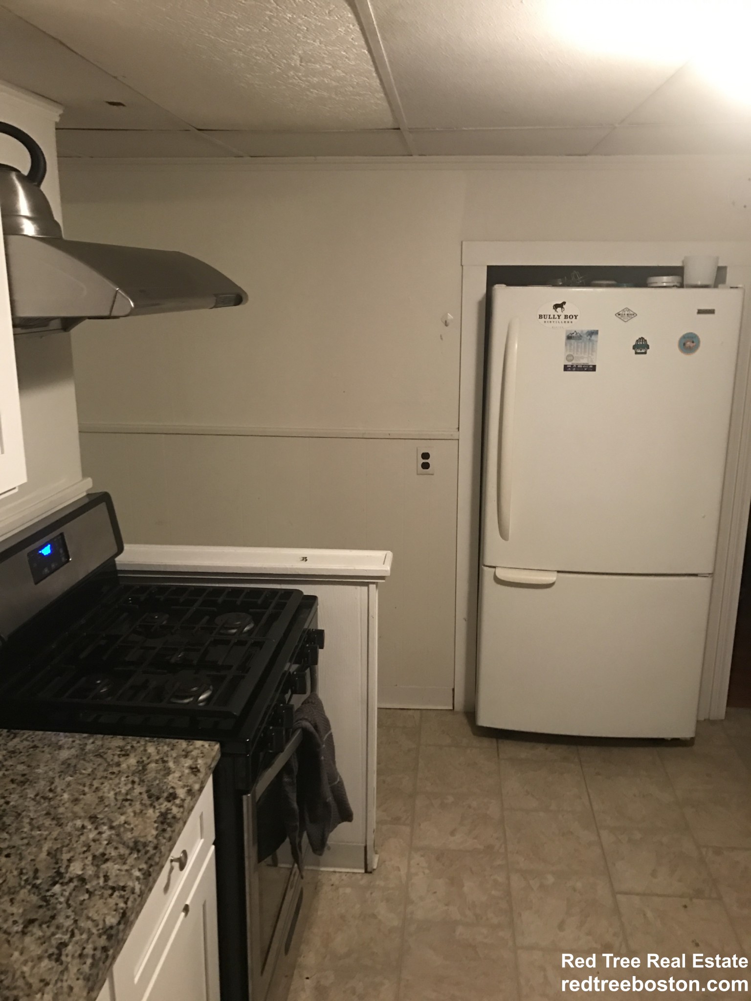 21 Appleton St, Davis Square