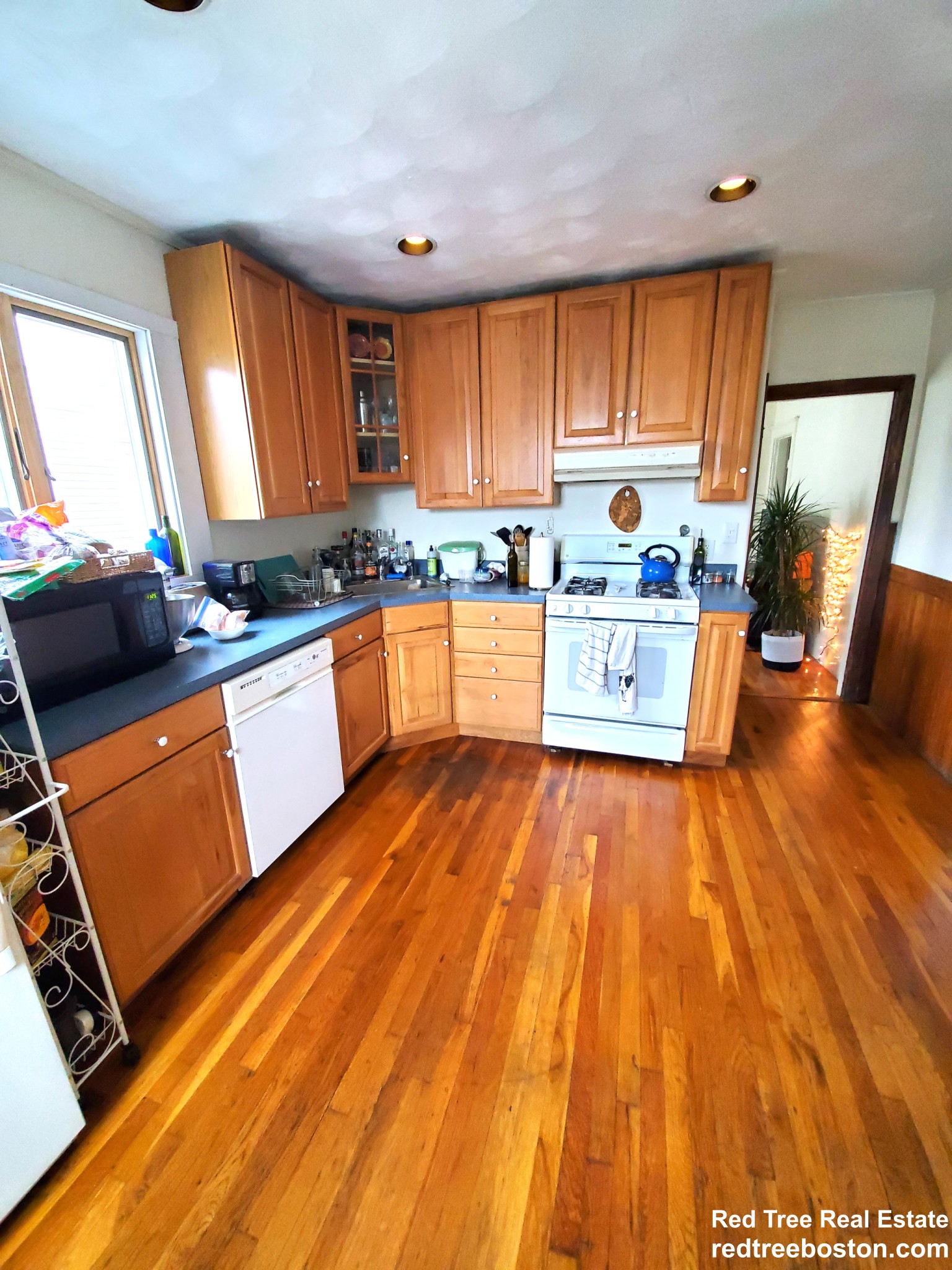 248 Cedar St, Magoun Square