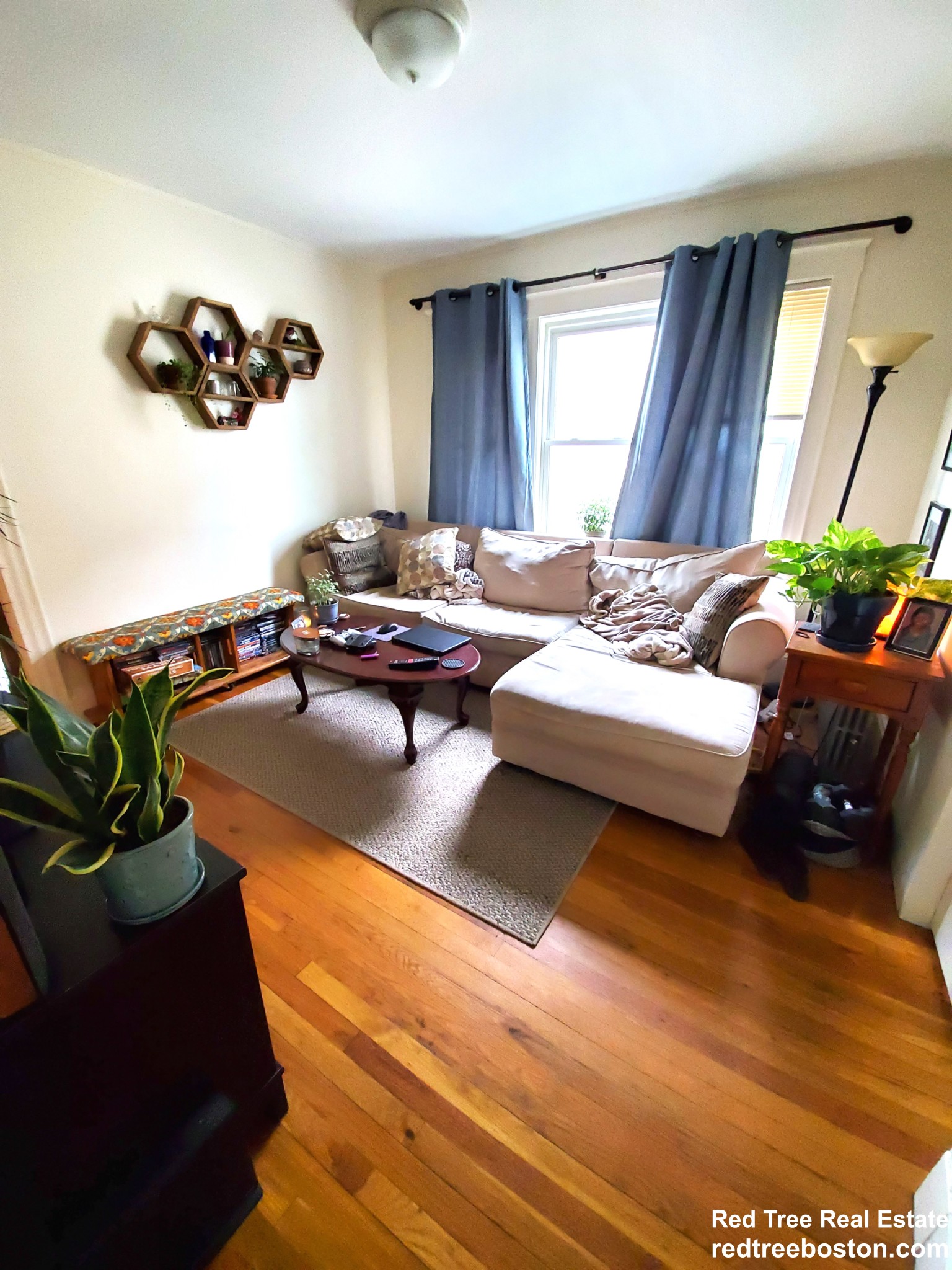 248 Cedar St, Magoun Square