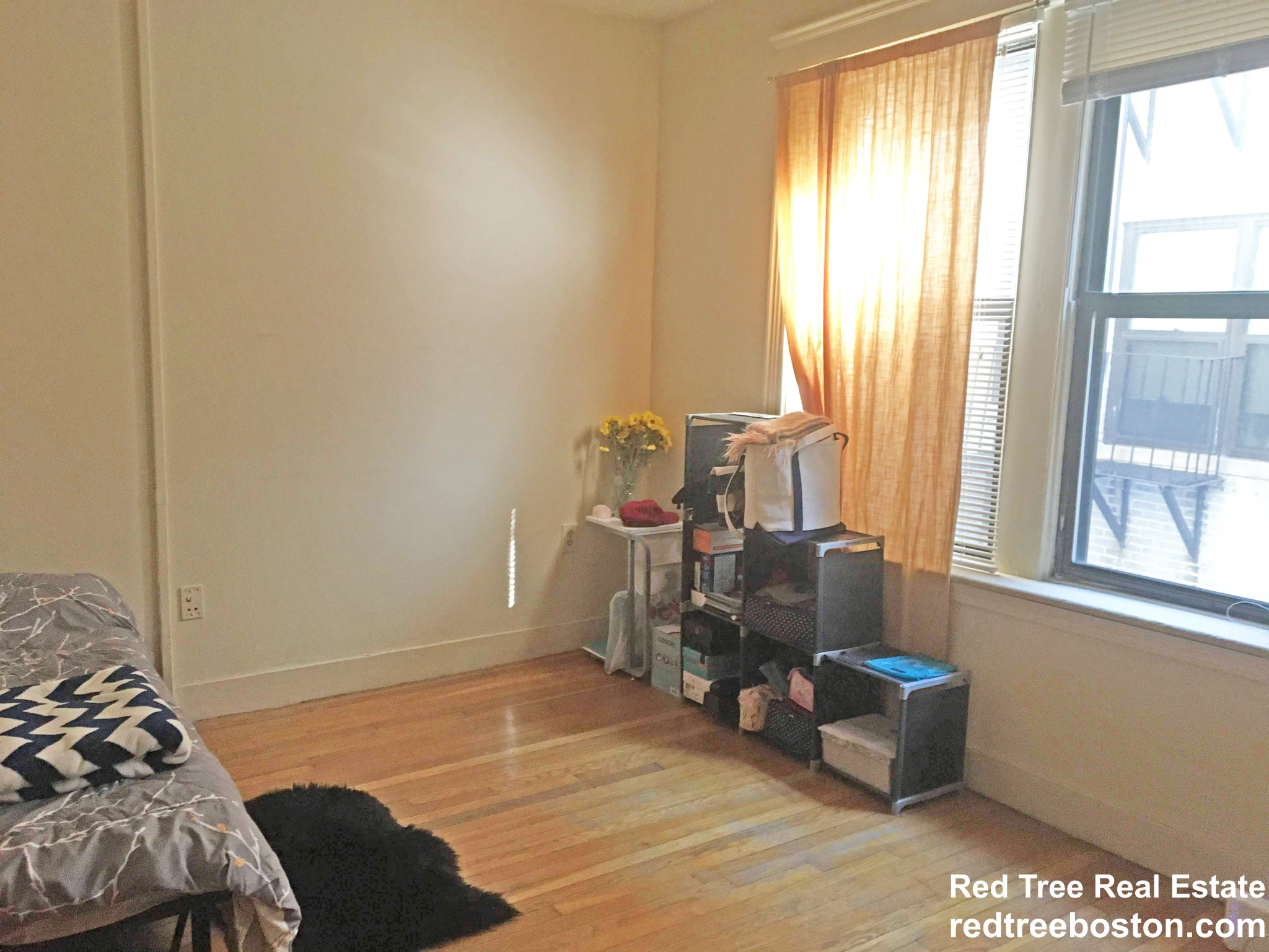 11 Peterborough St, Fenway