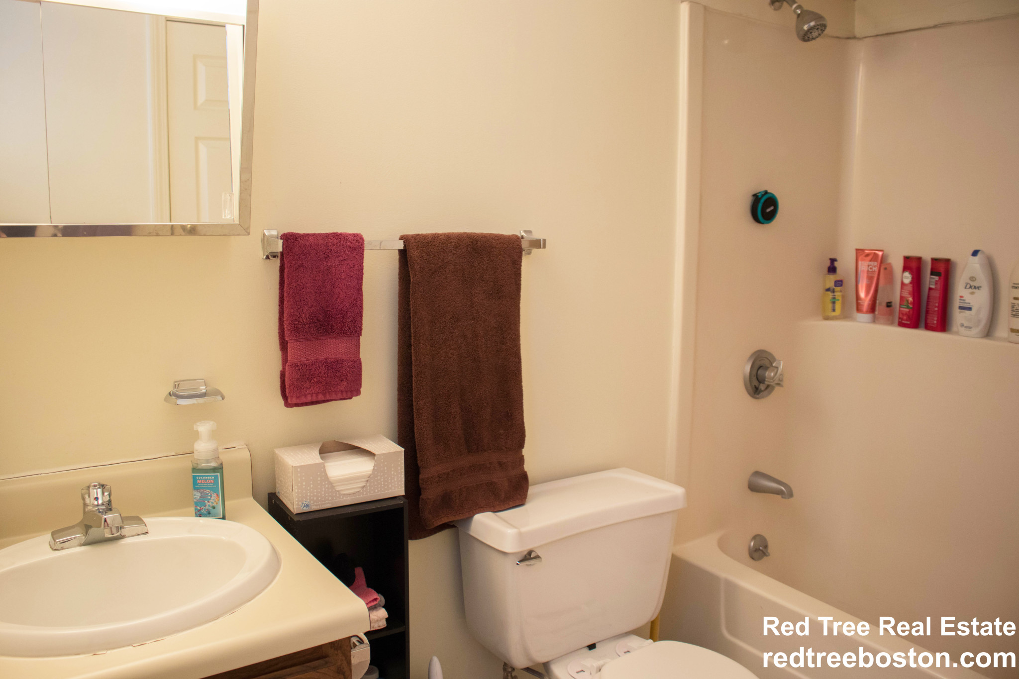 124 Peterborough St, Fenway