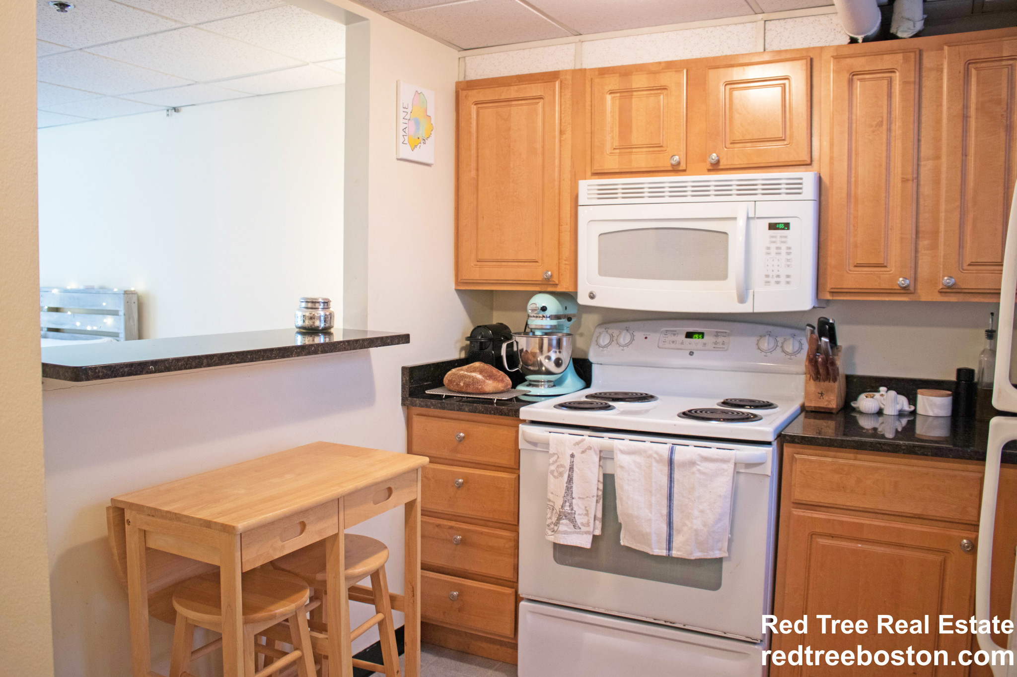 124 Peterborough St, Fenway