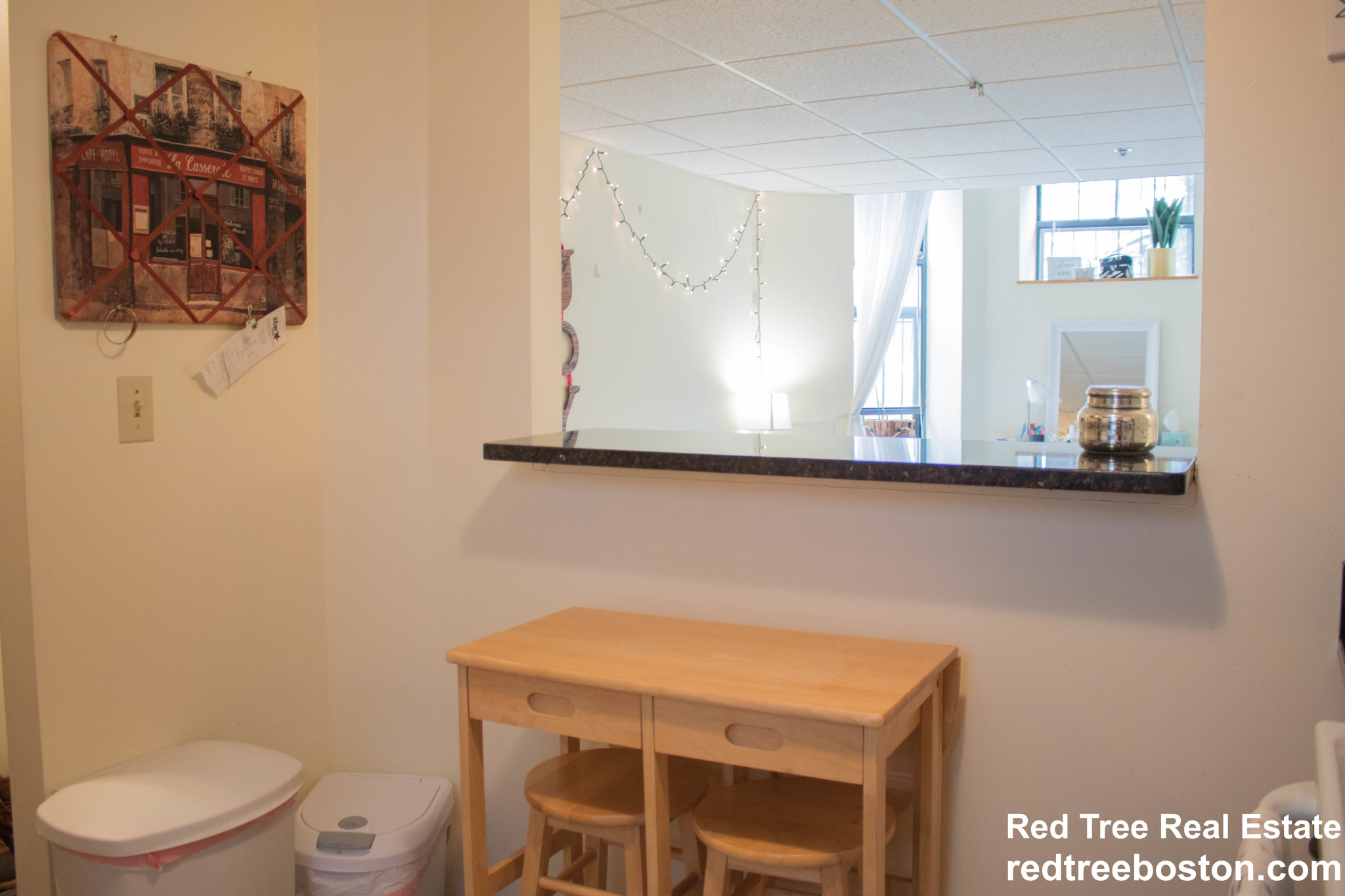 124 Peterborough St, Fenway