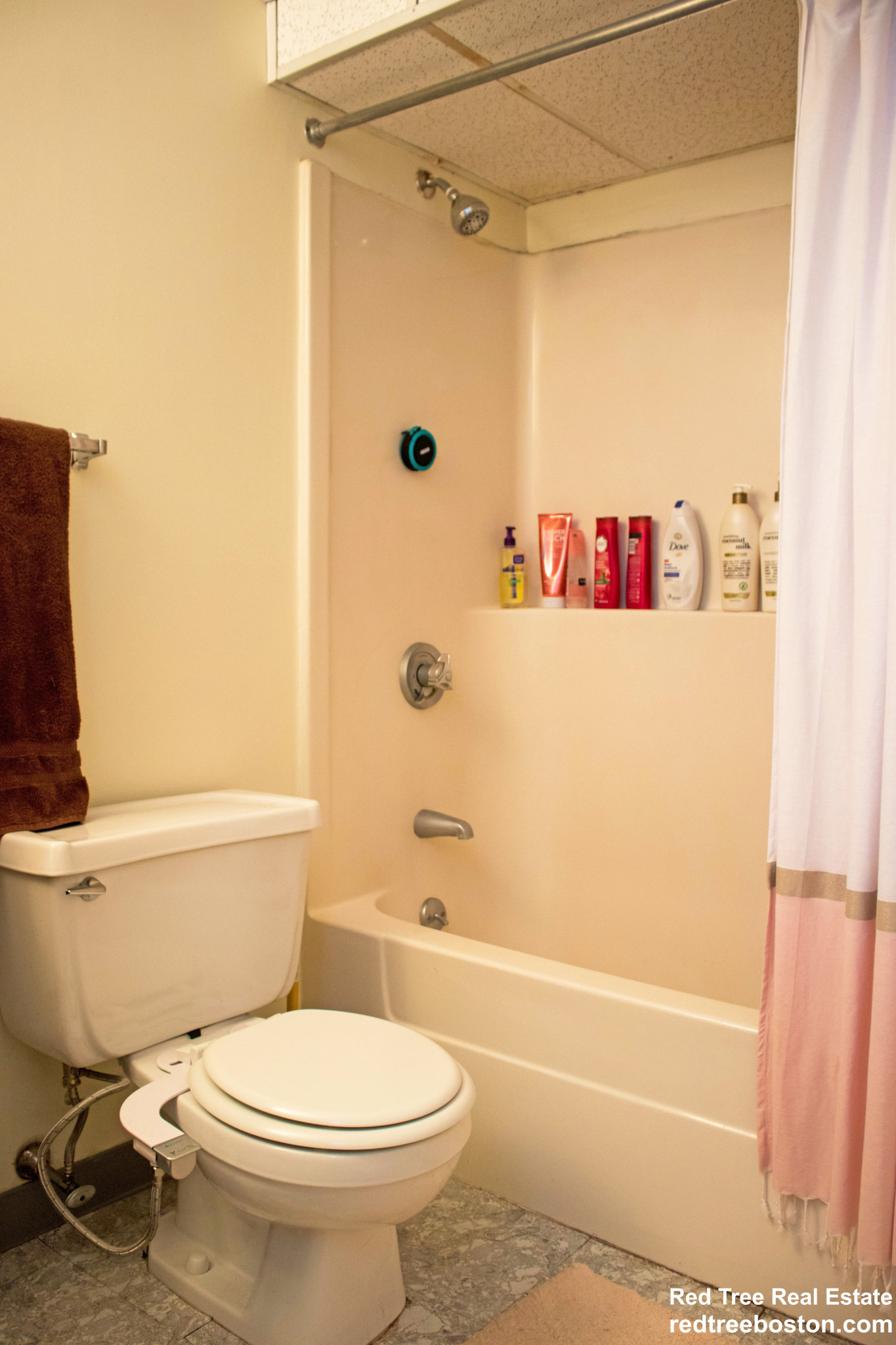 124 Peterborough St, Fenway