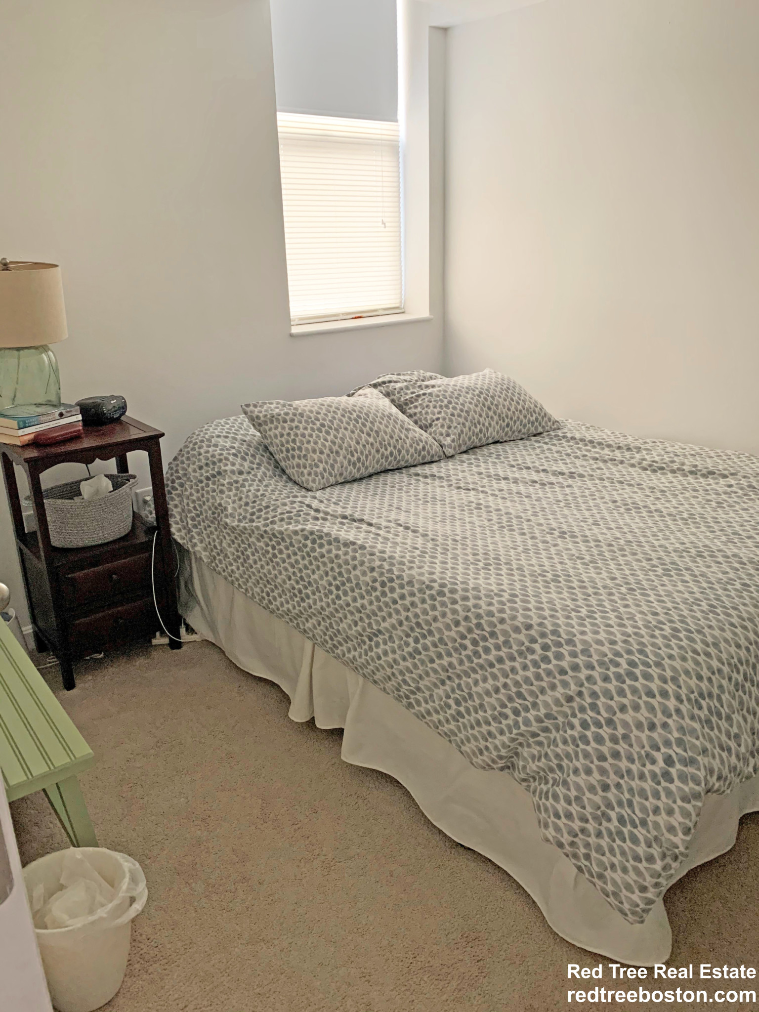 105 Queensberry St, Fenway