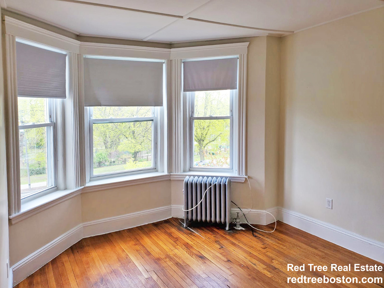 1191 Boylston St, Fenway