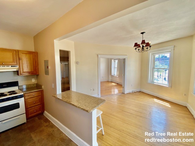 374 Chestnut Hill Ave, Brighton