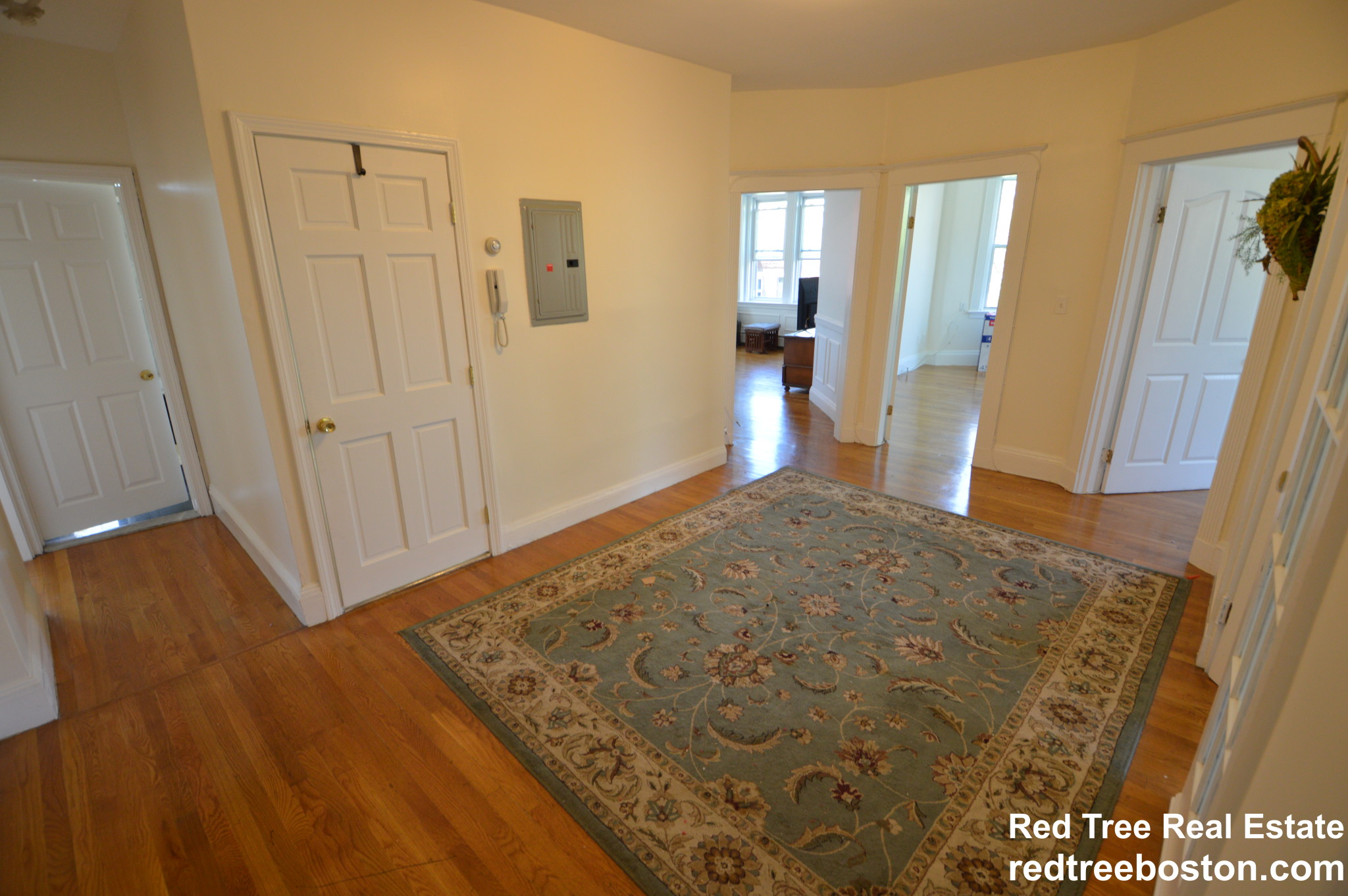 56 Cummings Rd, Brighton