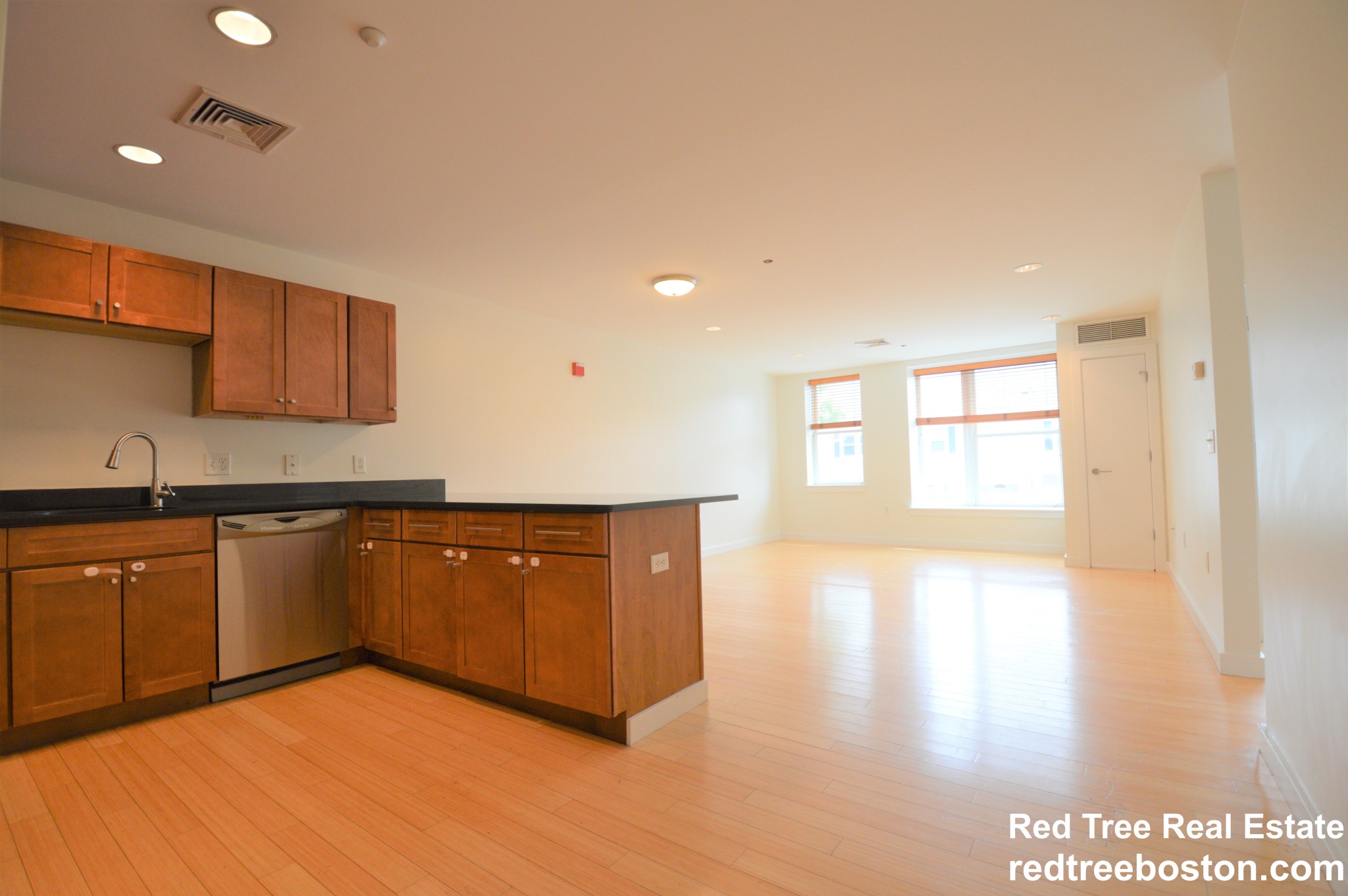 99 Chestnut Hill Ave, Brighton