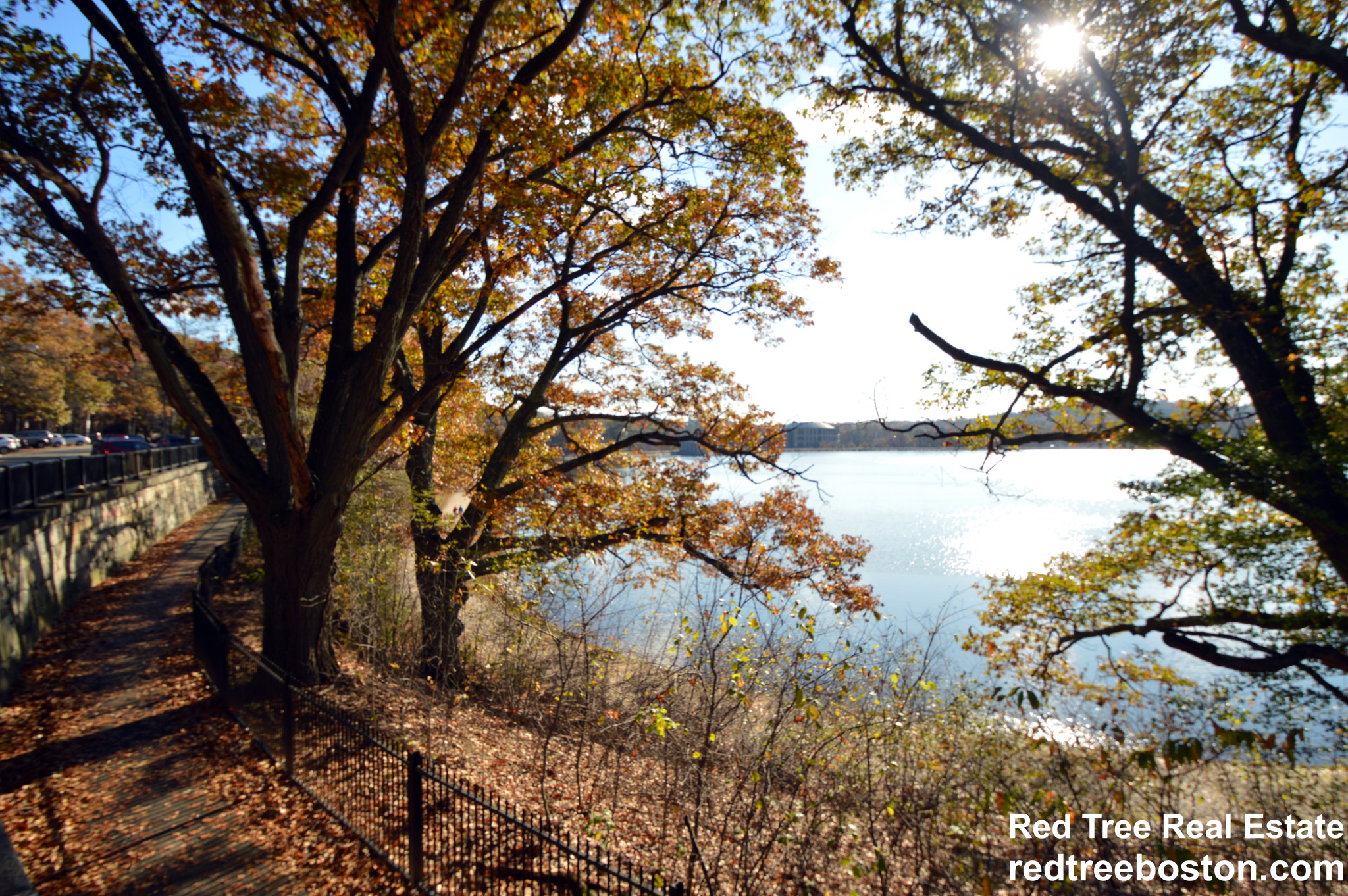 374 Chestnut Hill Ave, Brighton