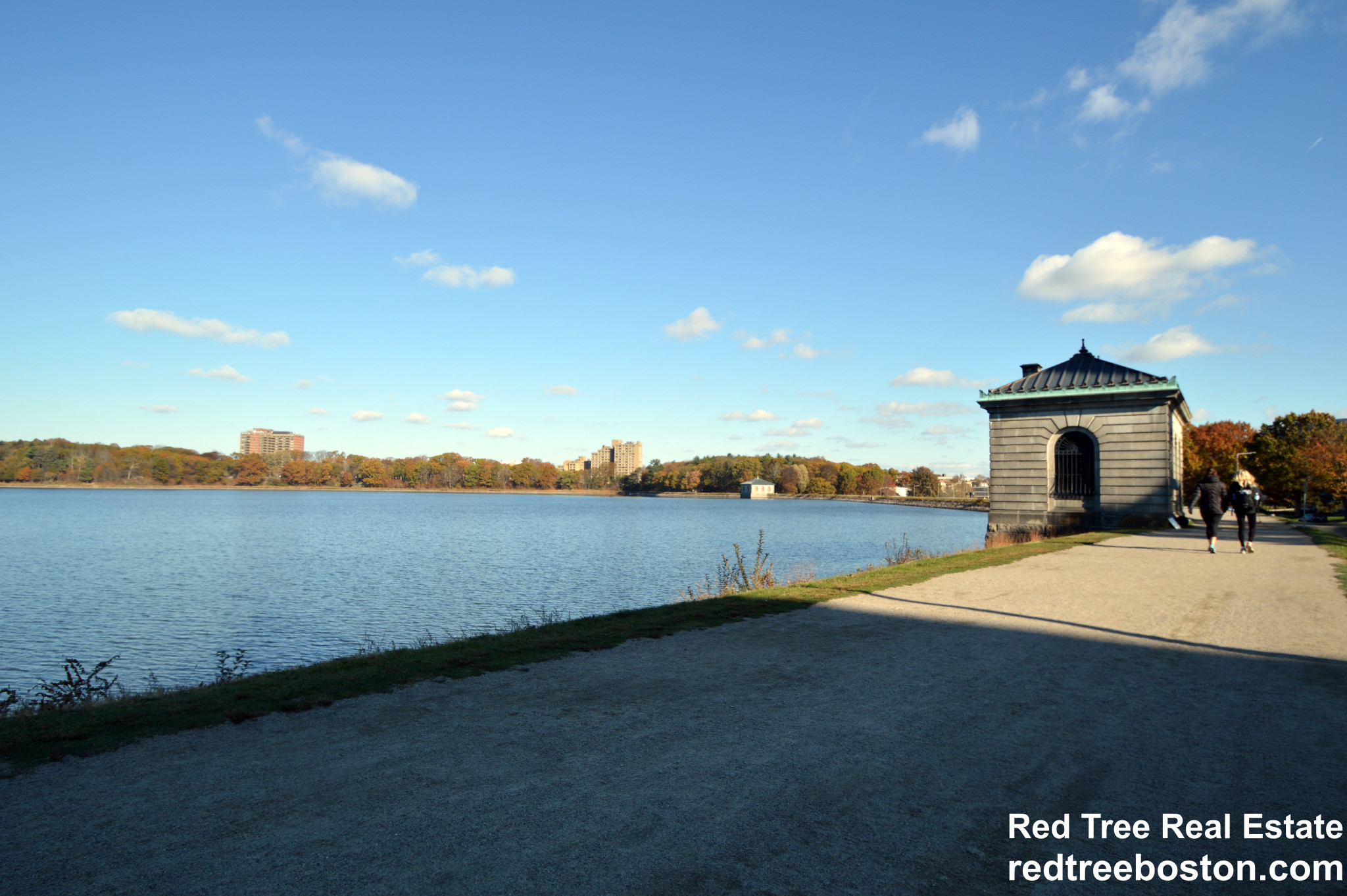 374 Chestnut Hill Ave, Brighton