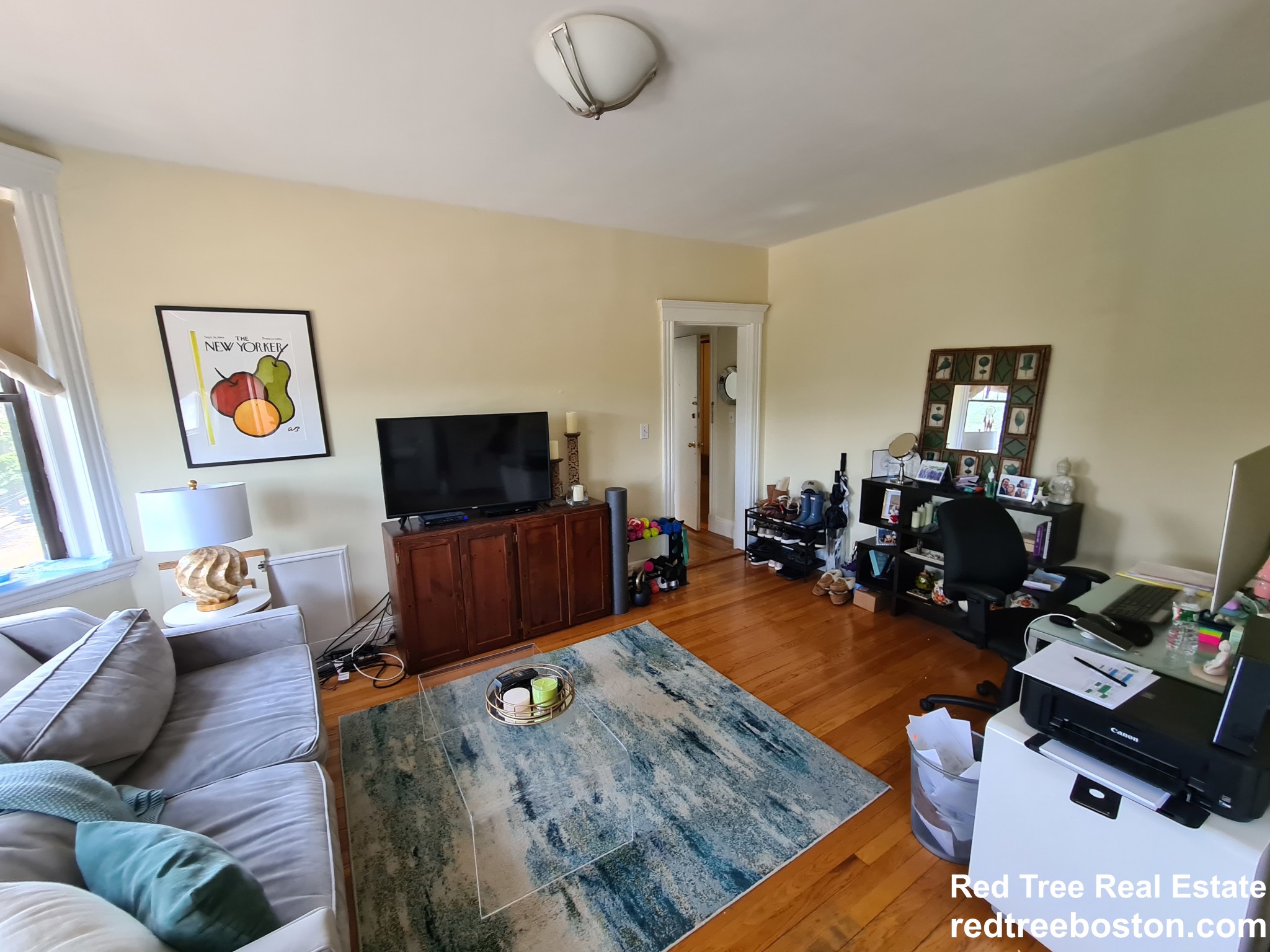 374 Chestnut Hill Ave, Brighton