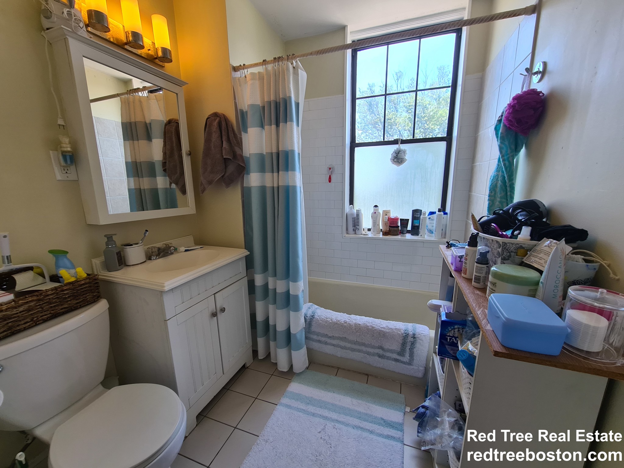 374 Chestnut Hill Ave, Brighton