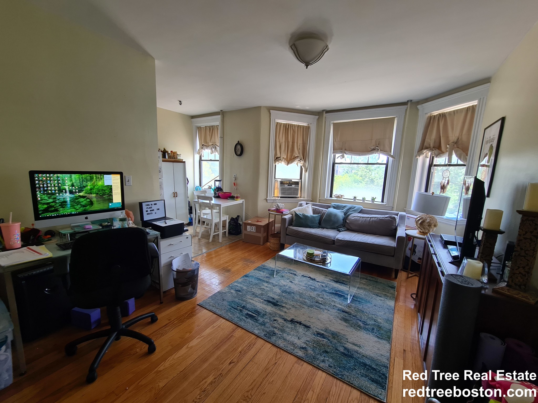 374 Chestnut Hill Ave, Brighton