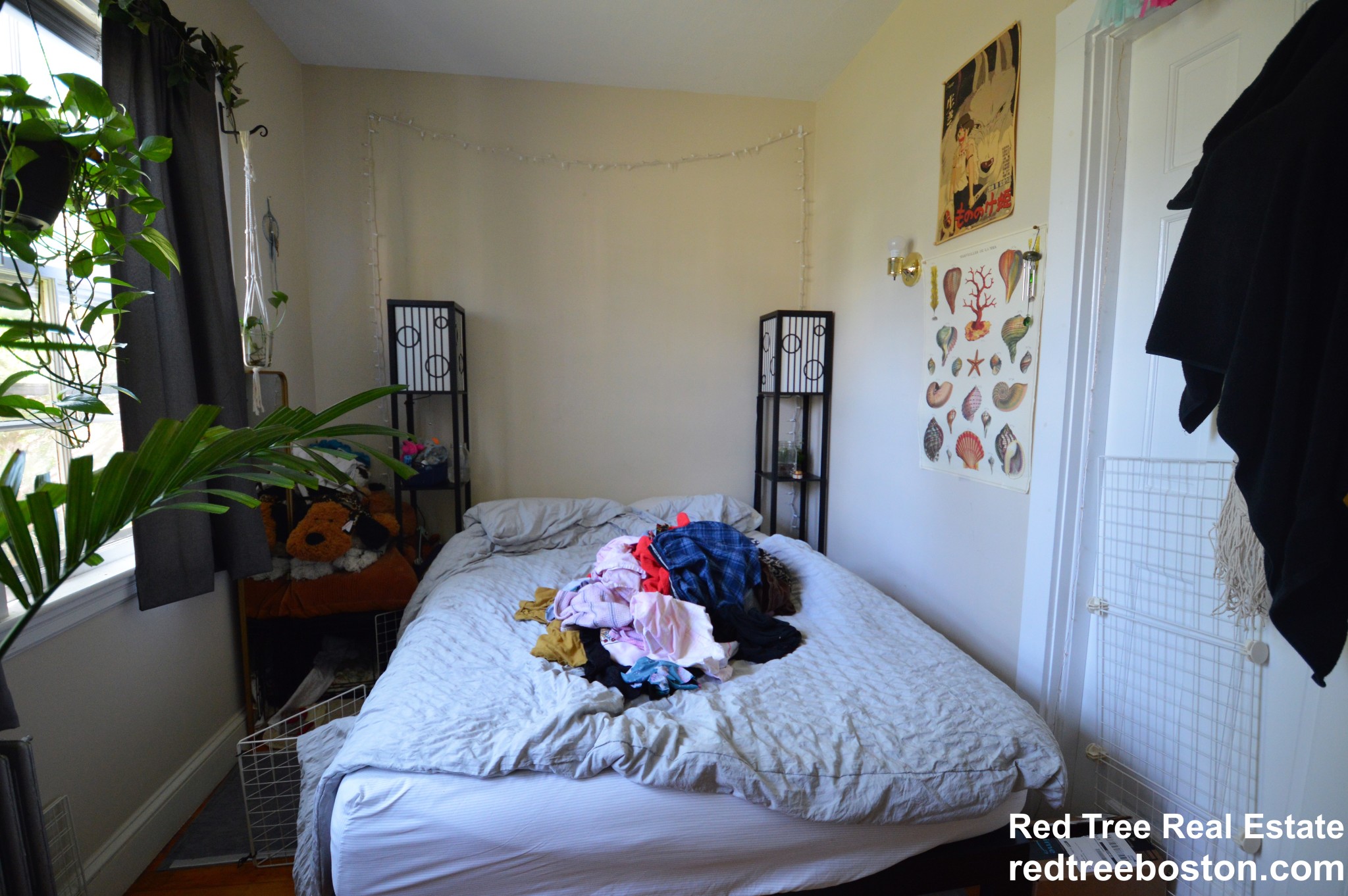 42 Claymoss Rd, Brighton