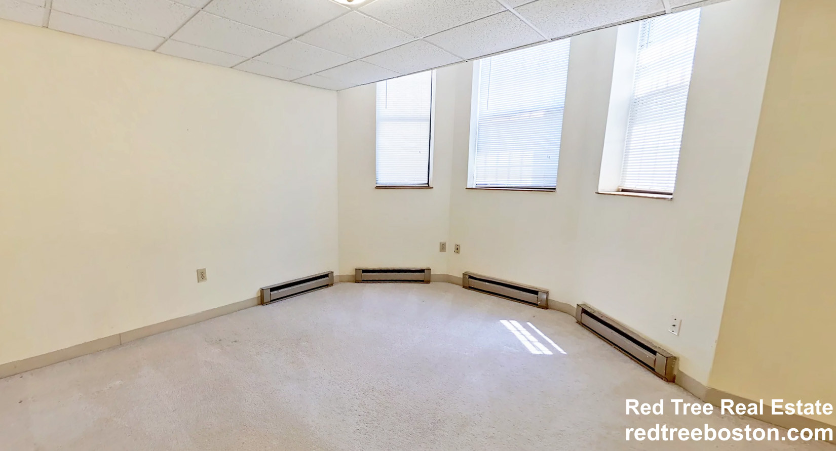 98 Queensberry St, Fenway