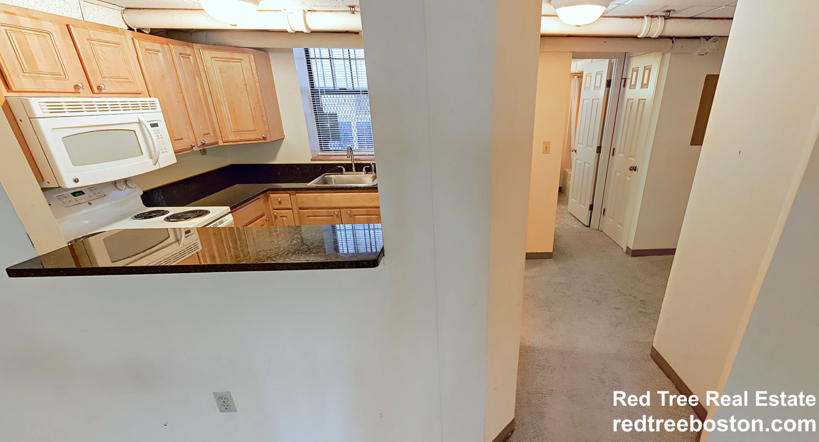 124 Peterborough St, Fenway