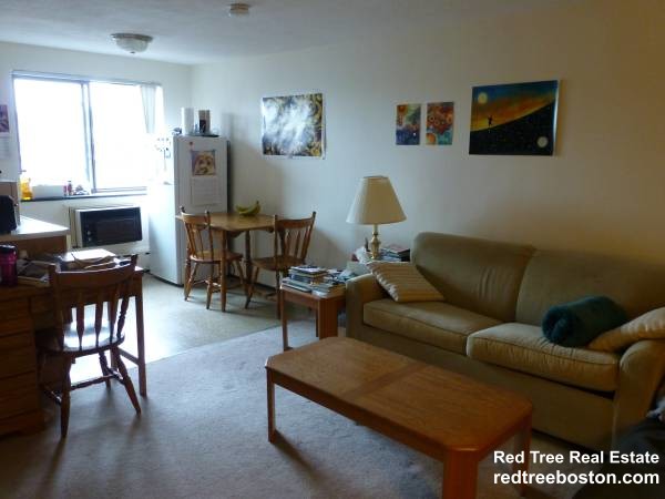 9 Chester St, North Cambridge