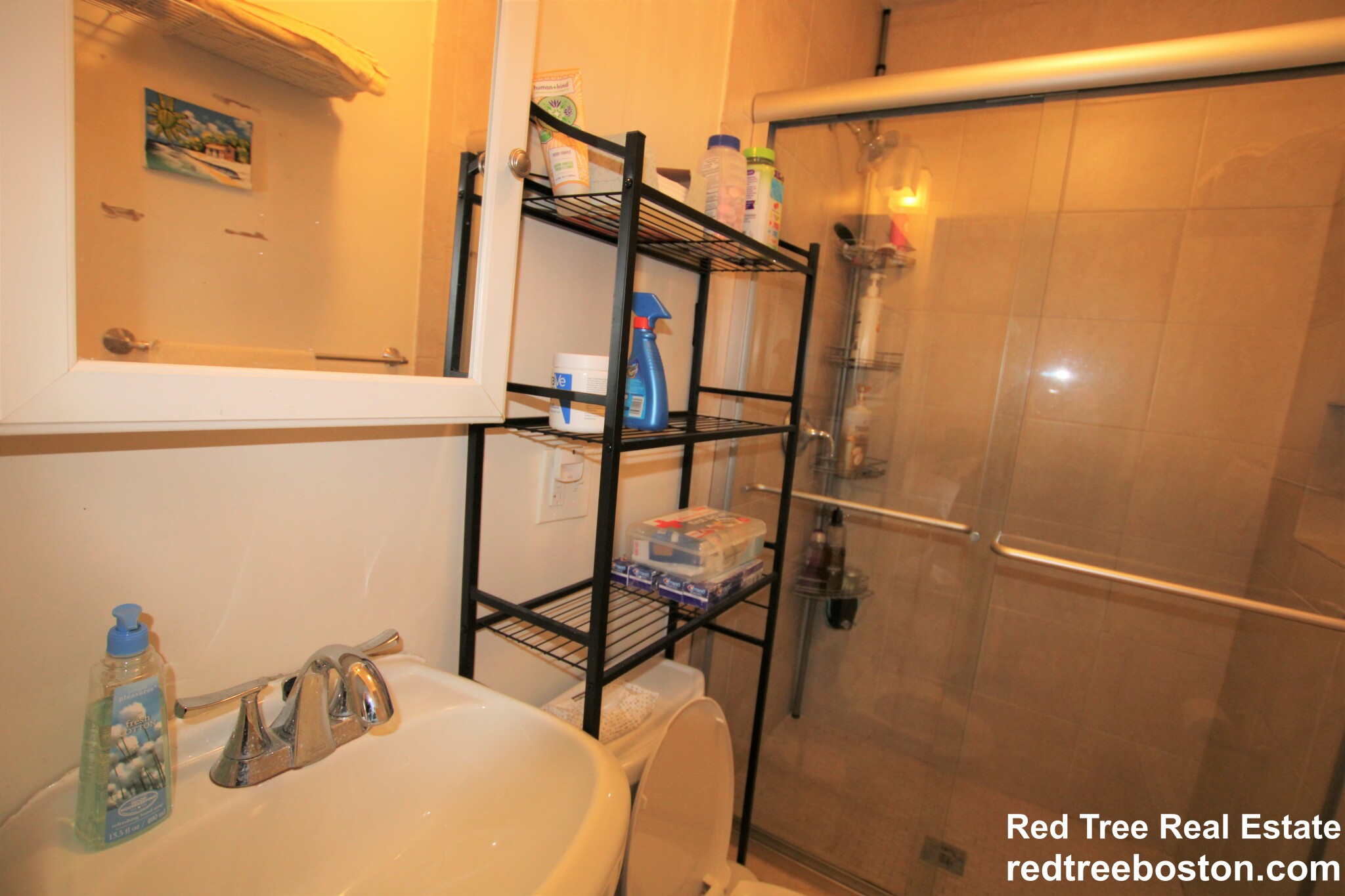 93 Hillside St, Mission Hill