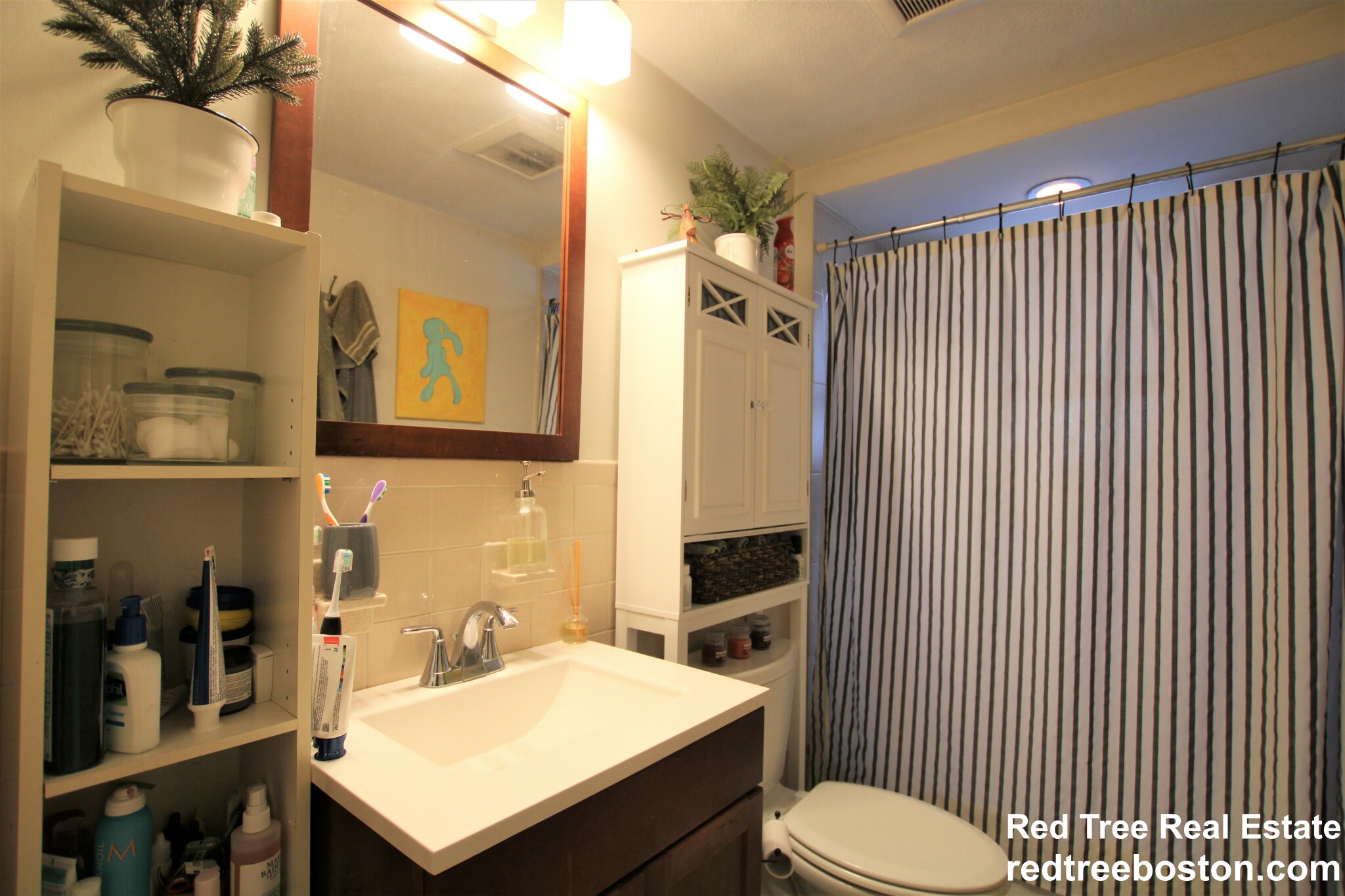 93 Hillside St, Mission Hill