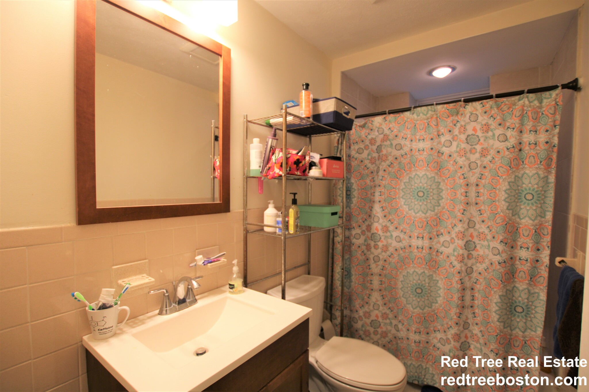 93 Hillside St, Mission Hill