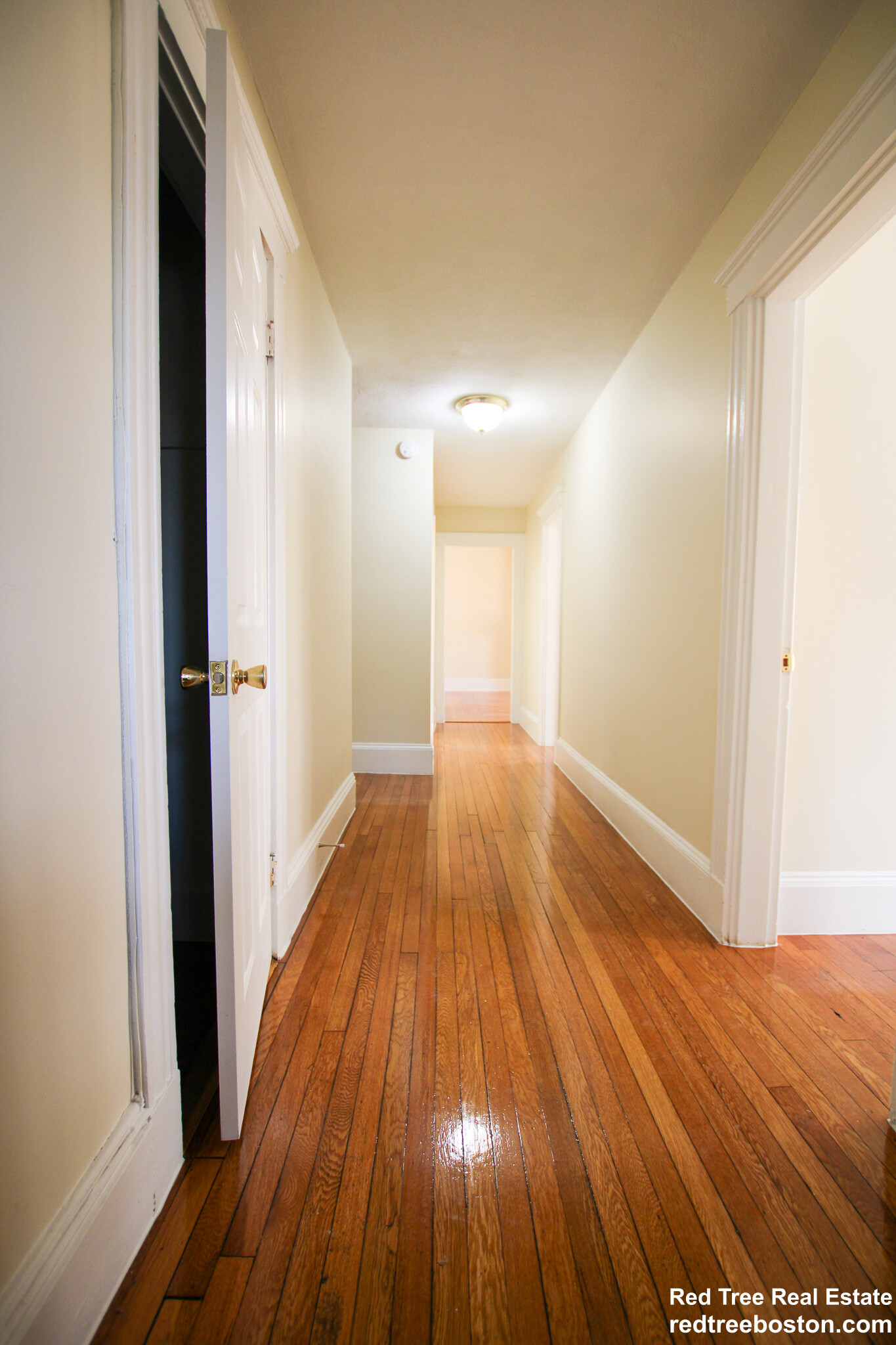 146 Chiswick Rd, Brighton