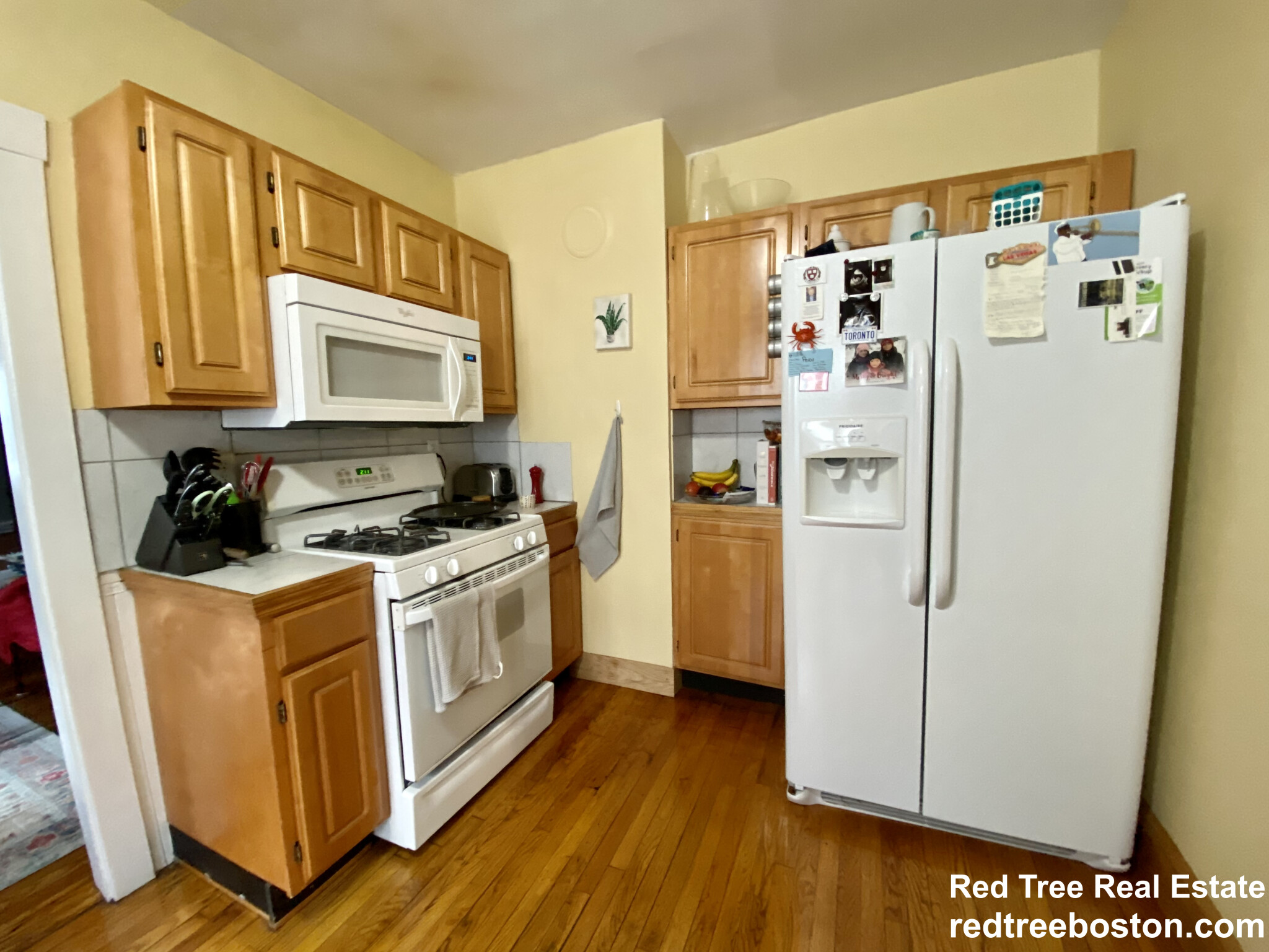 25 Saint Peter St, Jamaica Plain