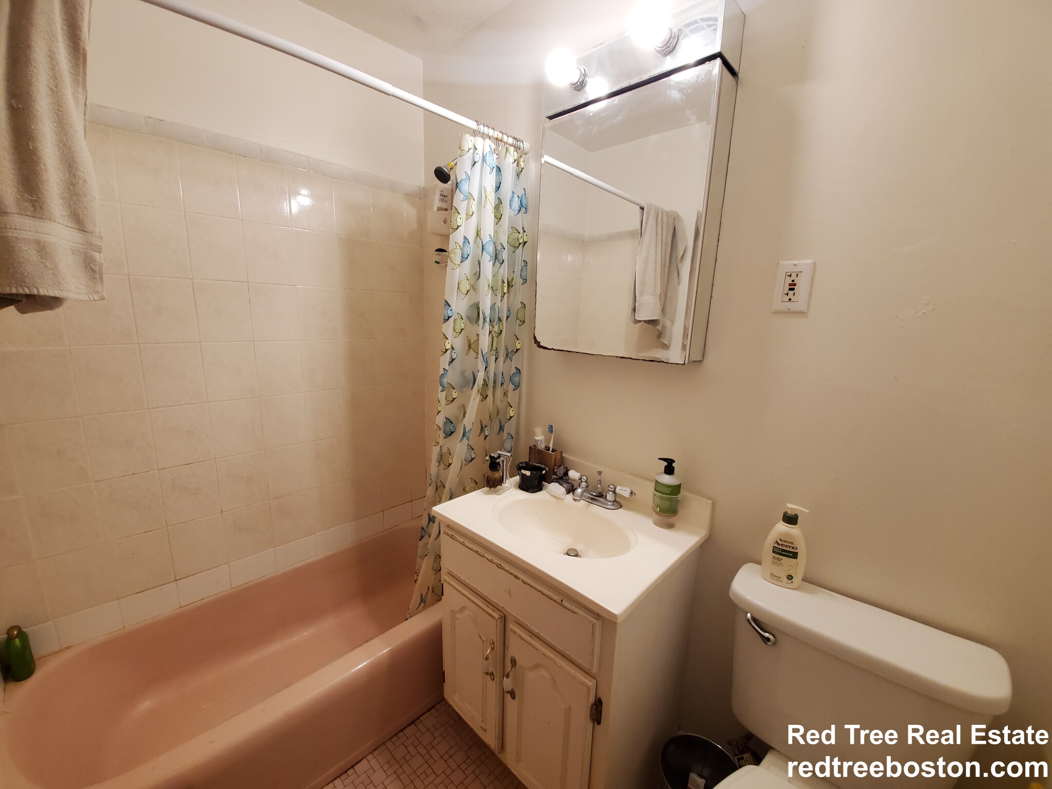 1 bed, 1 bath apartment for rent at 199 Winthrop Rd Unit 23, Coolidge Corner — photo 7 of 9