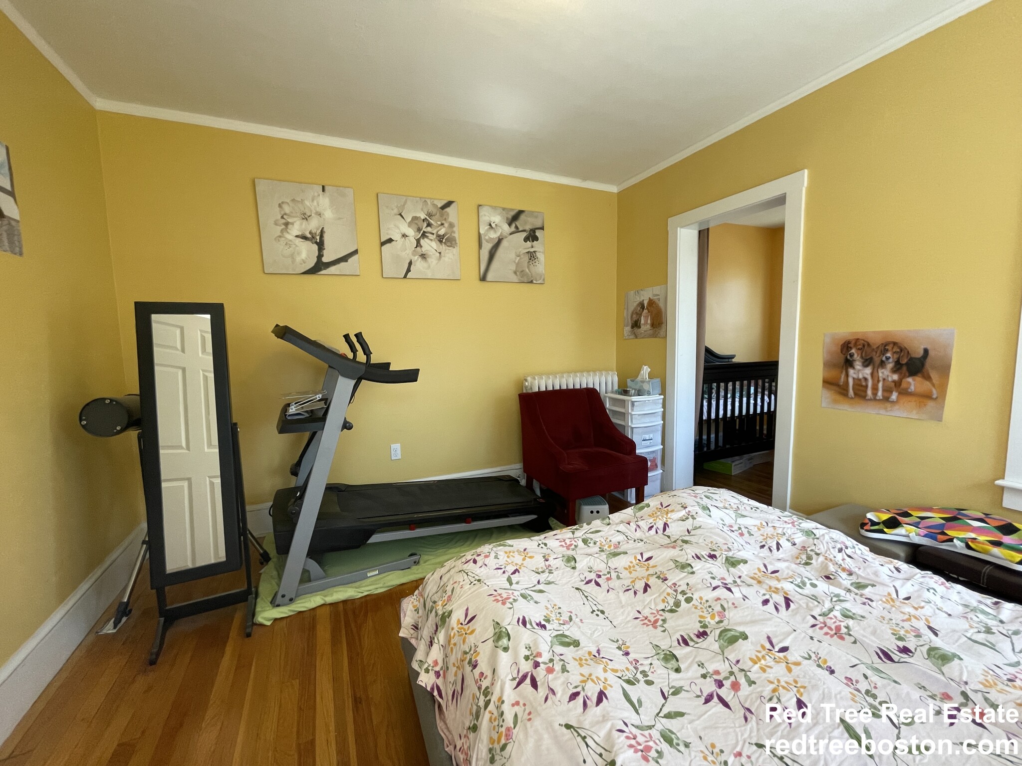 15 Westbourne Rd, Newton