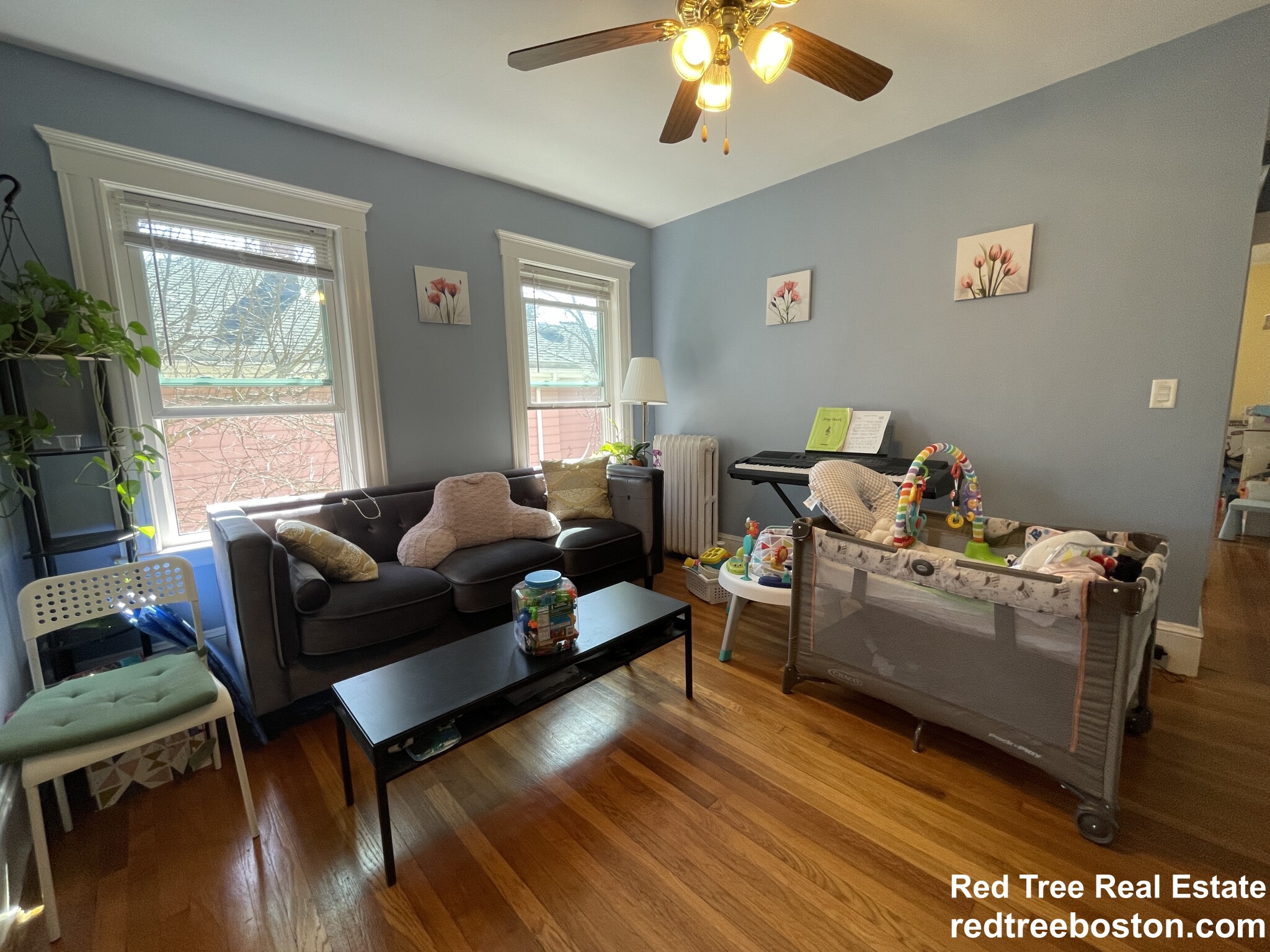 15 Westbourne Rd, Newton